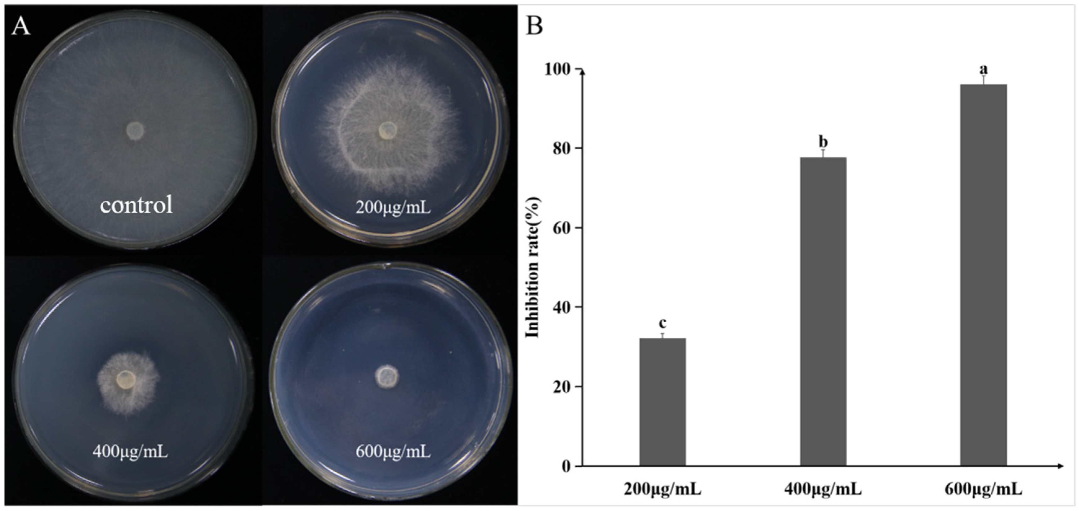 Plants 14 03546 g007