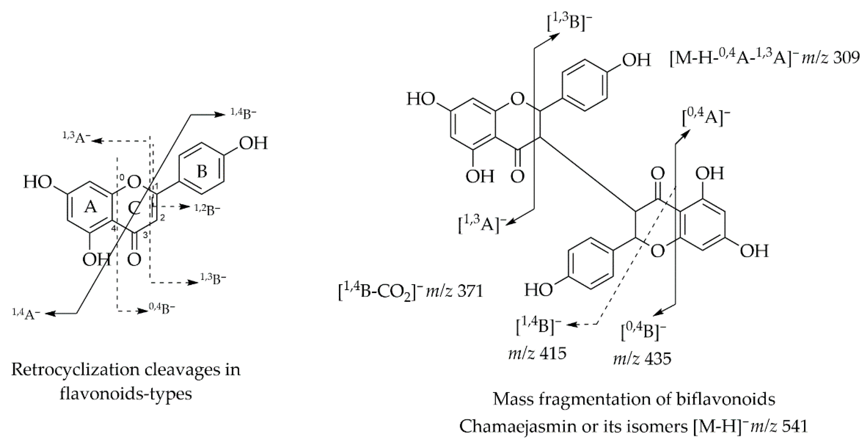 Plants 14 03549 g017