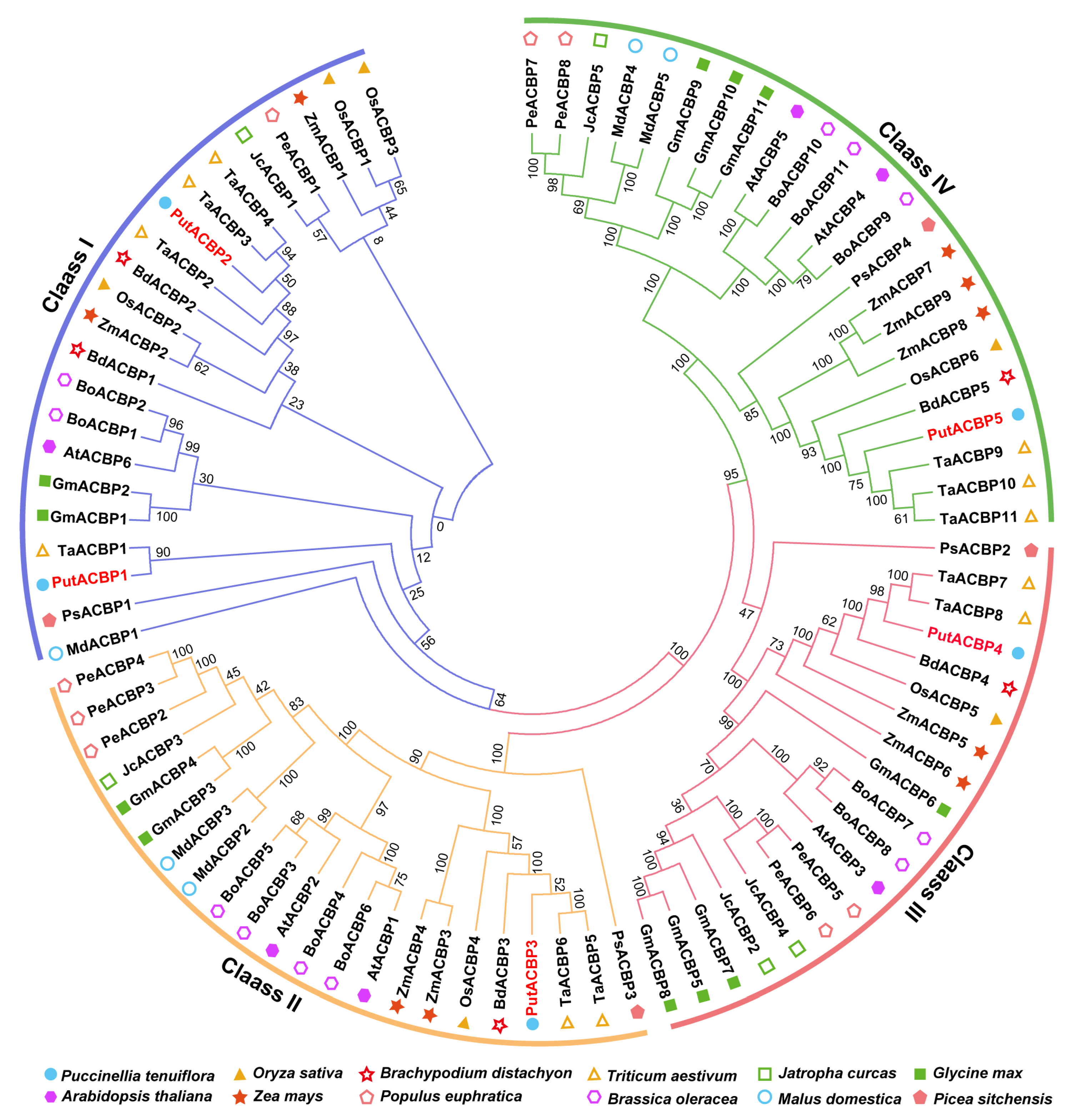 Plants 14 03551 g001 Plants 14 03551 g001