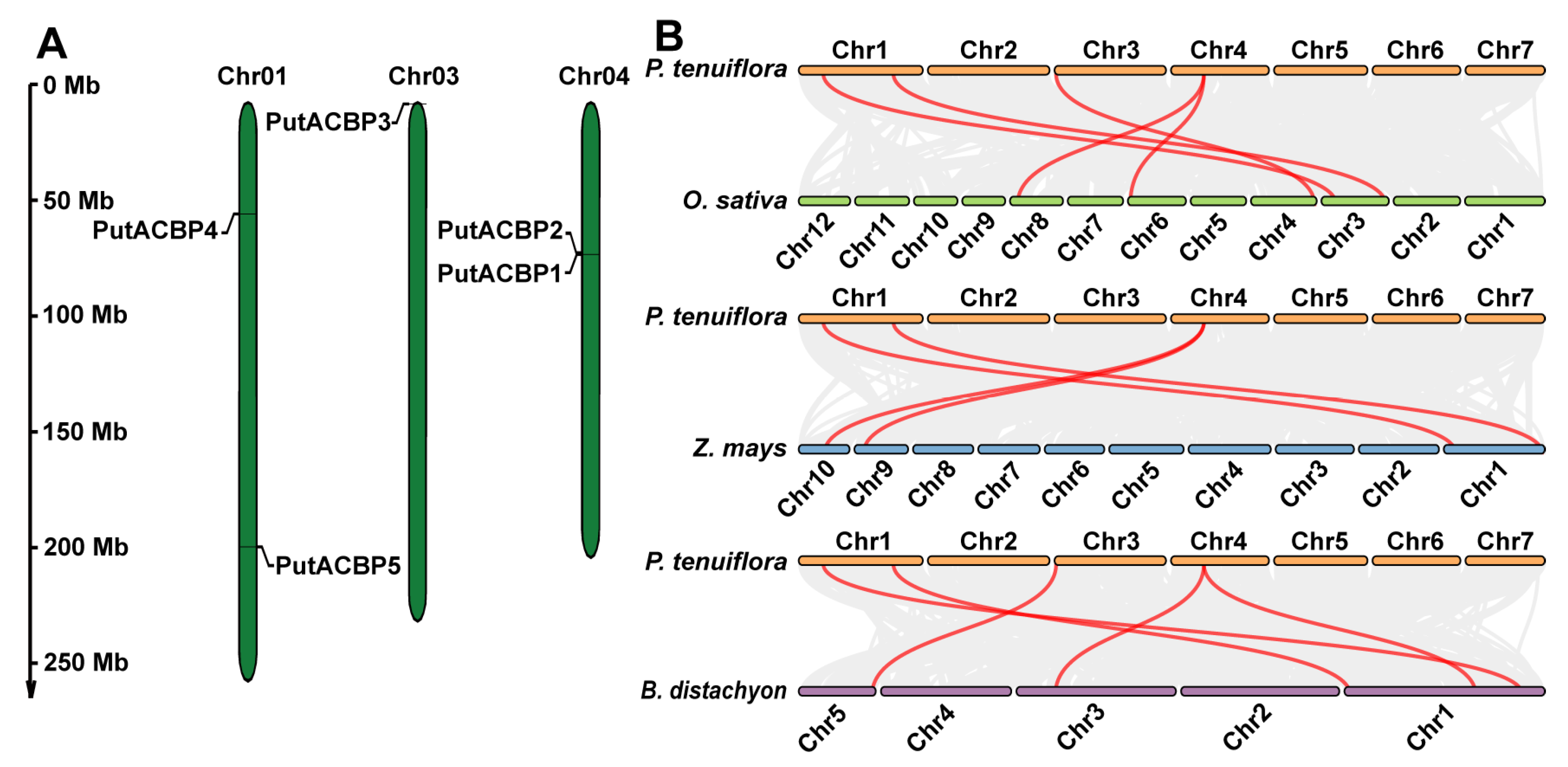 Plants 14 03551 g002 Plants 14 03551 g002