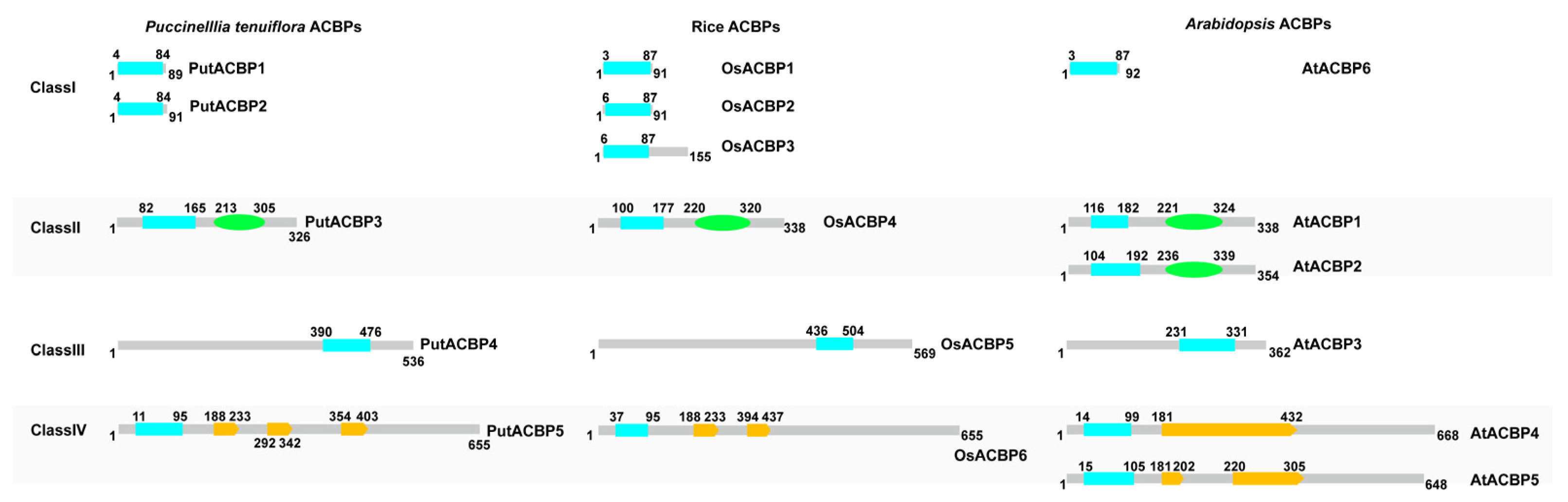 Plants 14 03551 g003 Plants 14 03551 g003
