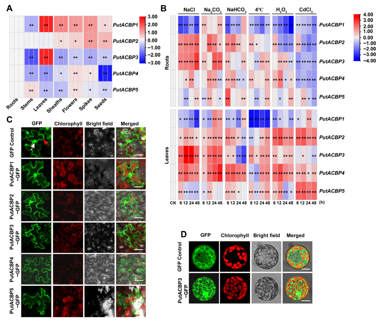 Plants 14 03551 g005 Plants 14 03551 g005