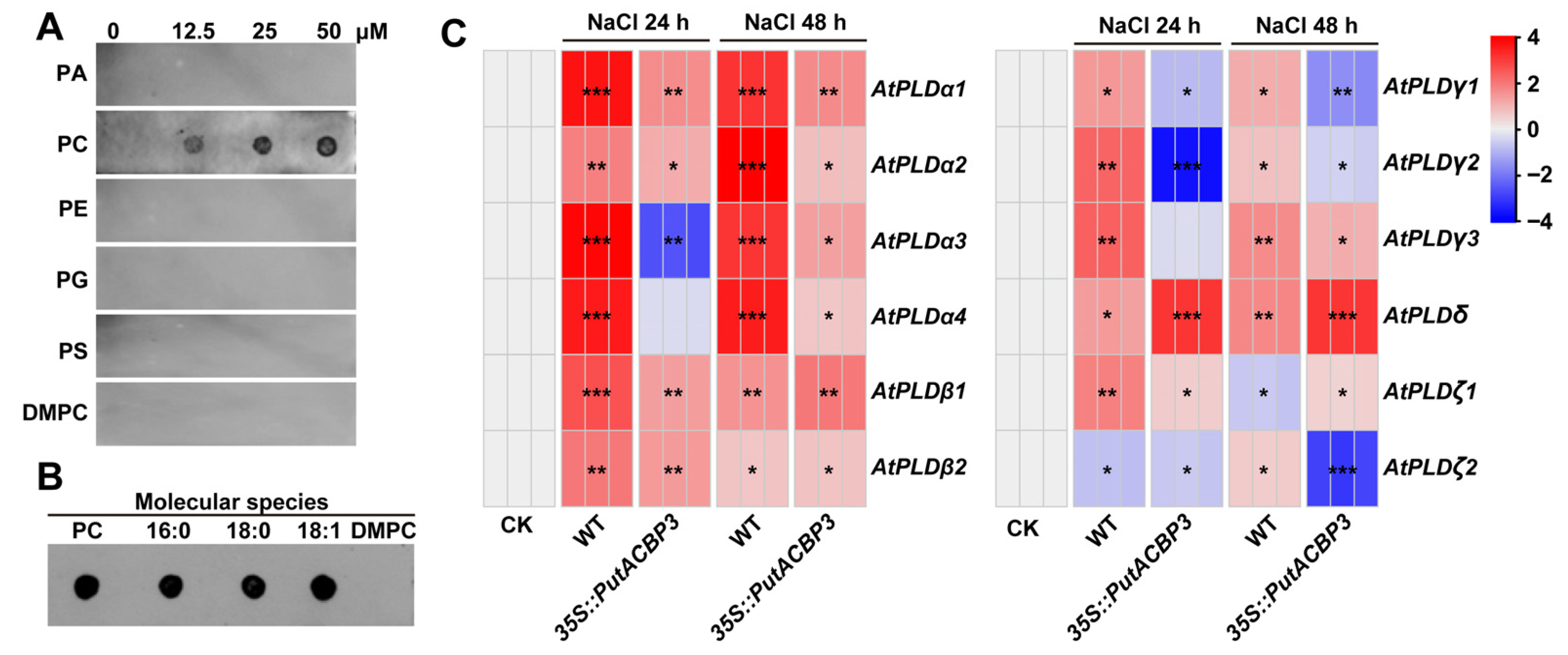 Plants 14 03551 g007 Plants 14 03551 g007