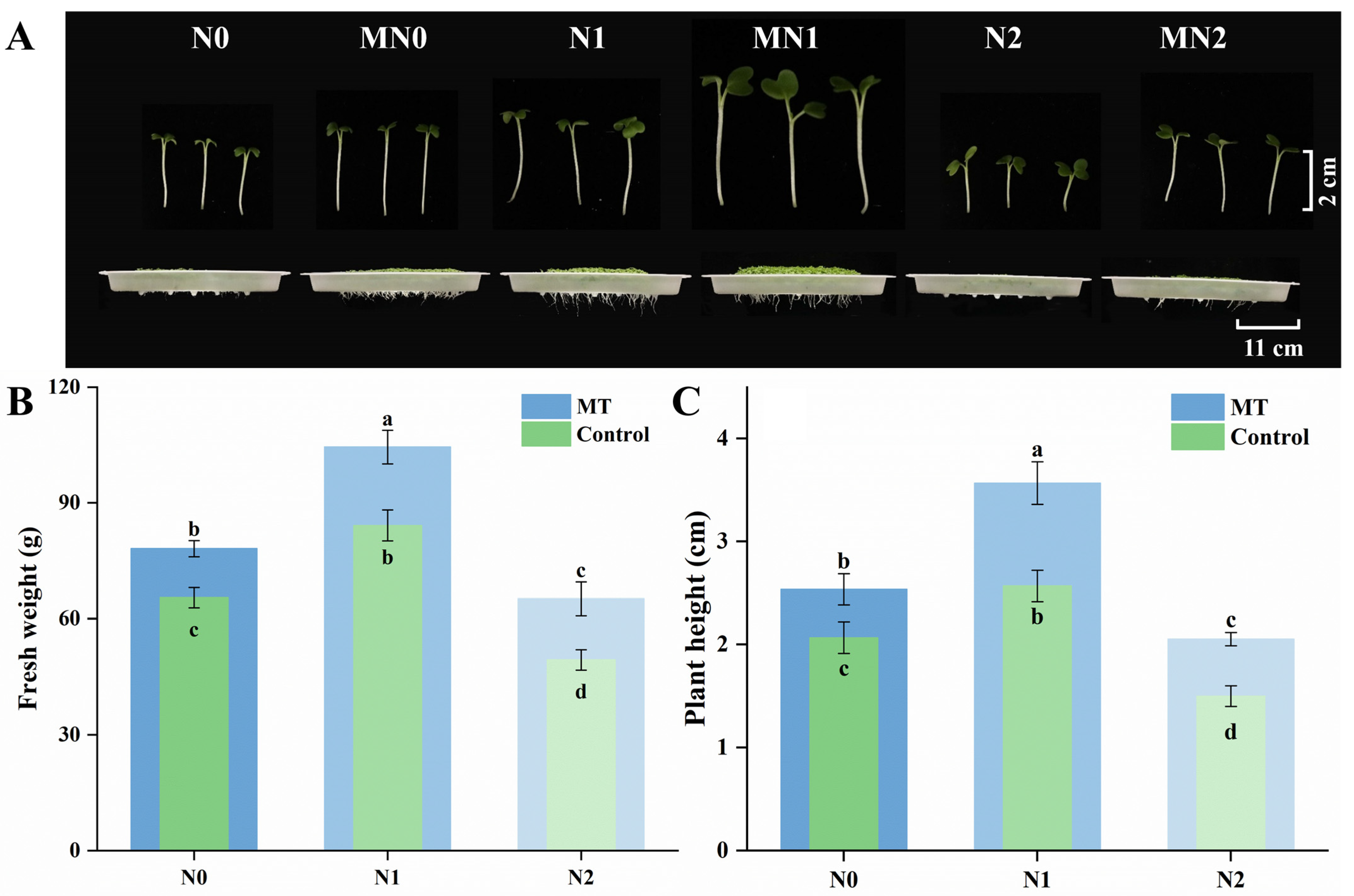 Plants 14 03553 g001