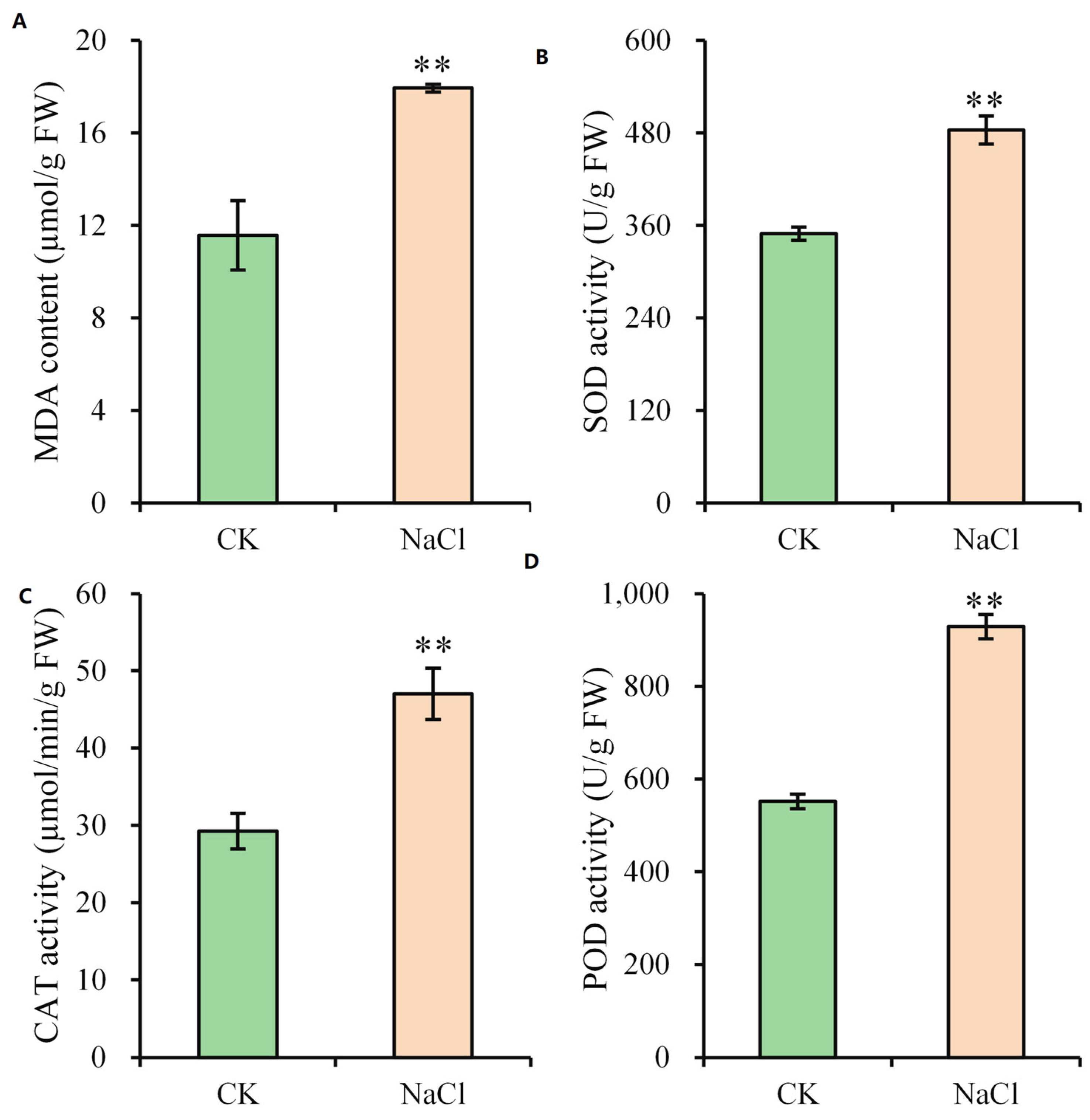 Plants 14 03554 g003 Plants 14 03554 g003