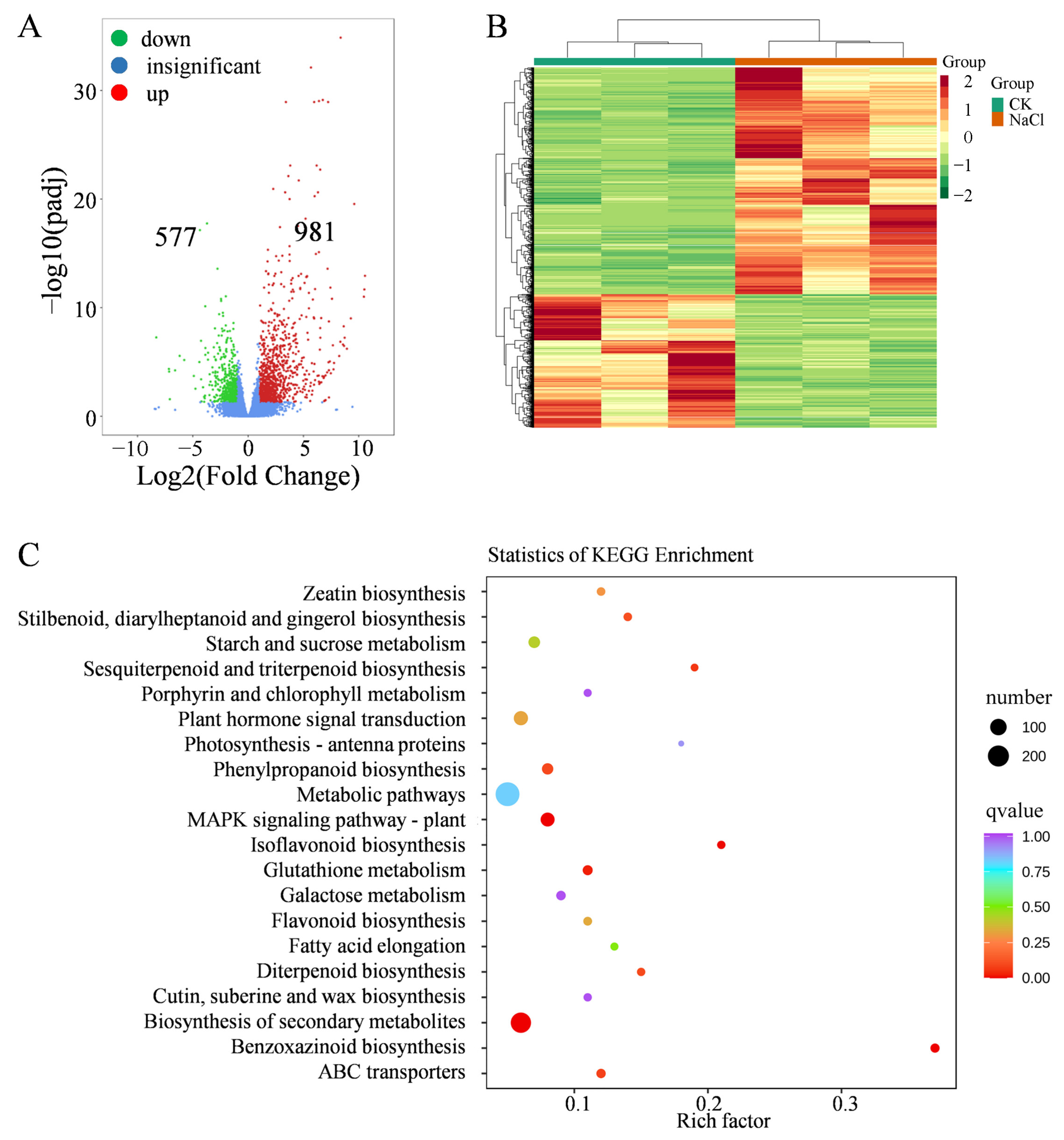 Plants 14 03554 g004 Plants 14 03554 g004