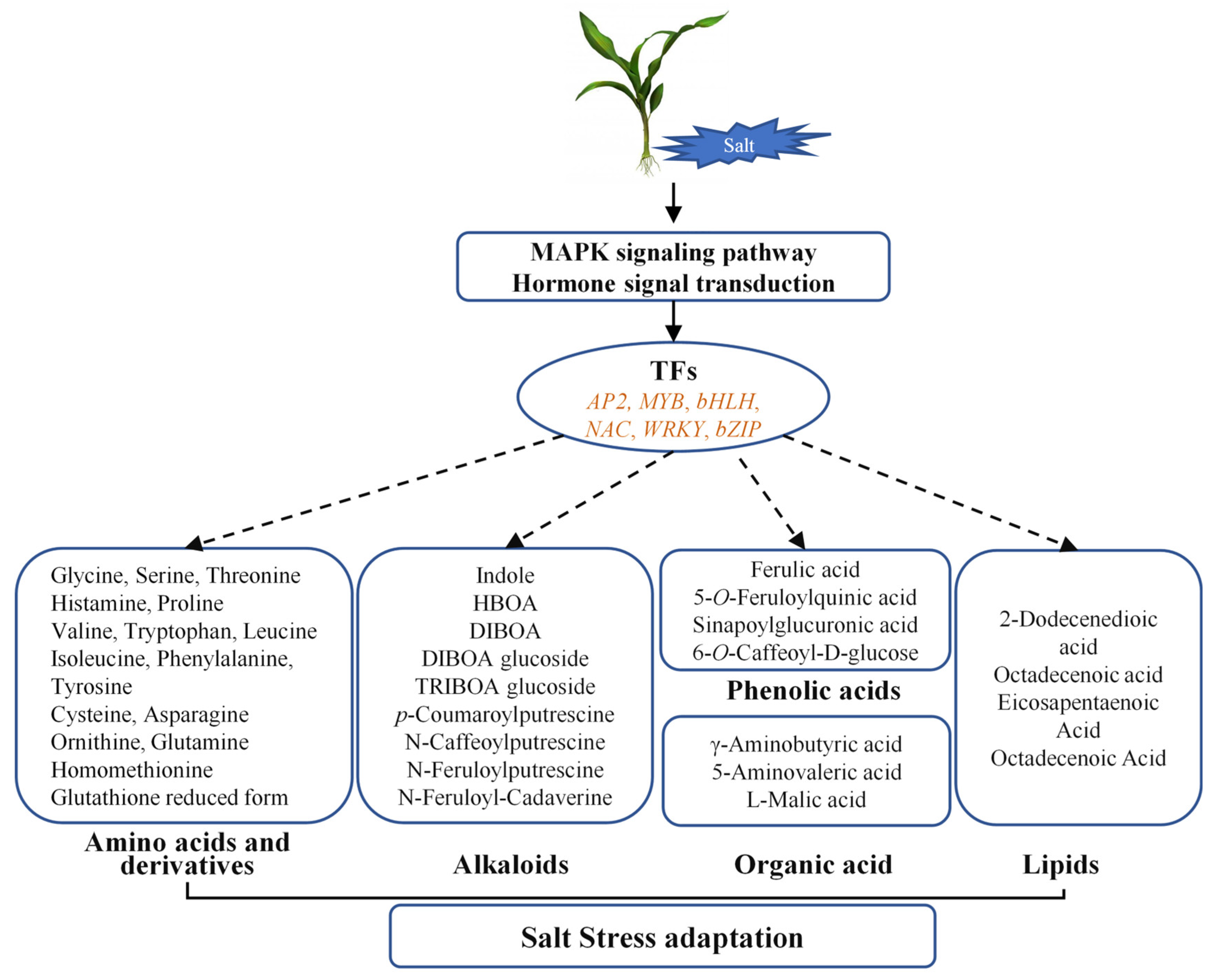 Plants 14 03554 g008 Plants 14 03554 g008