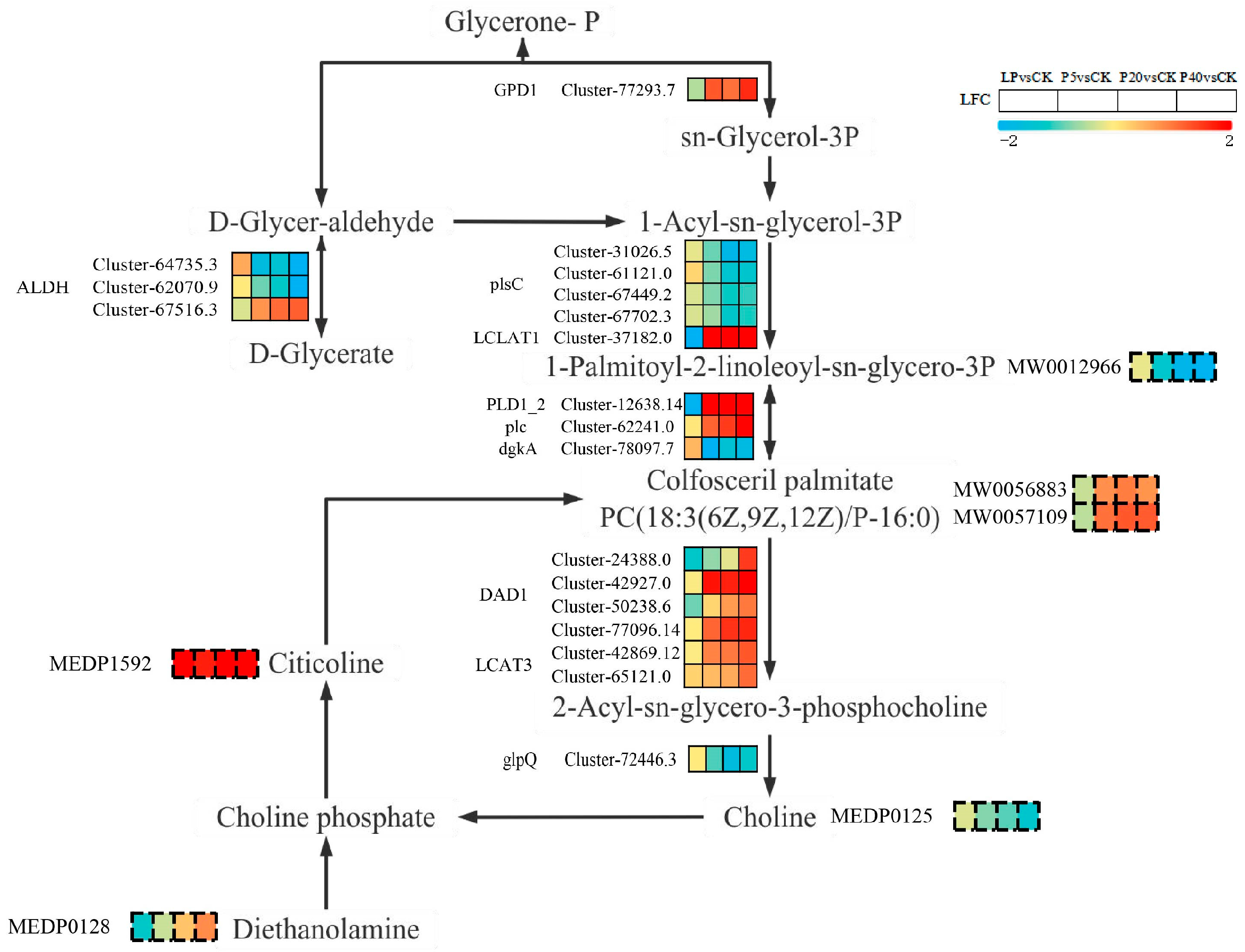 Plants 14 03556 g008