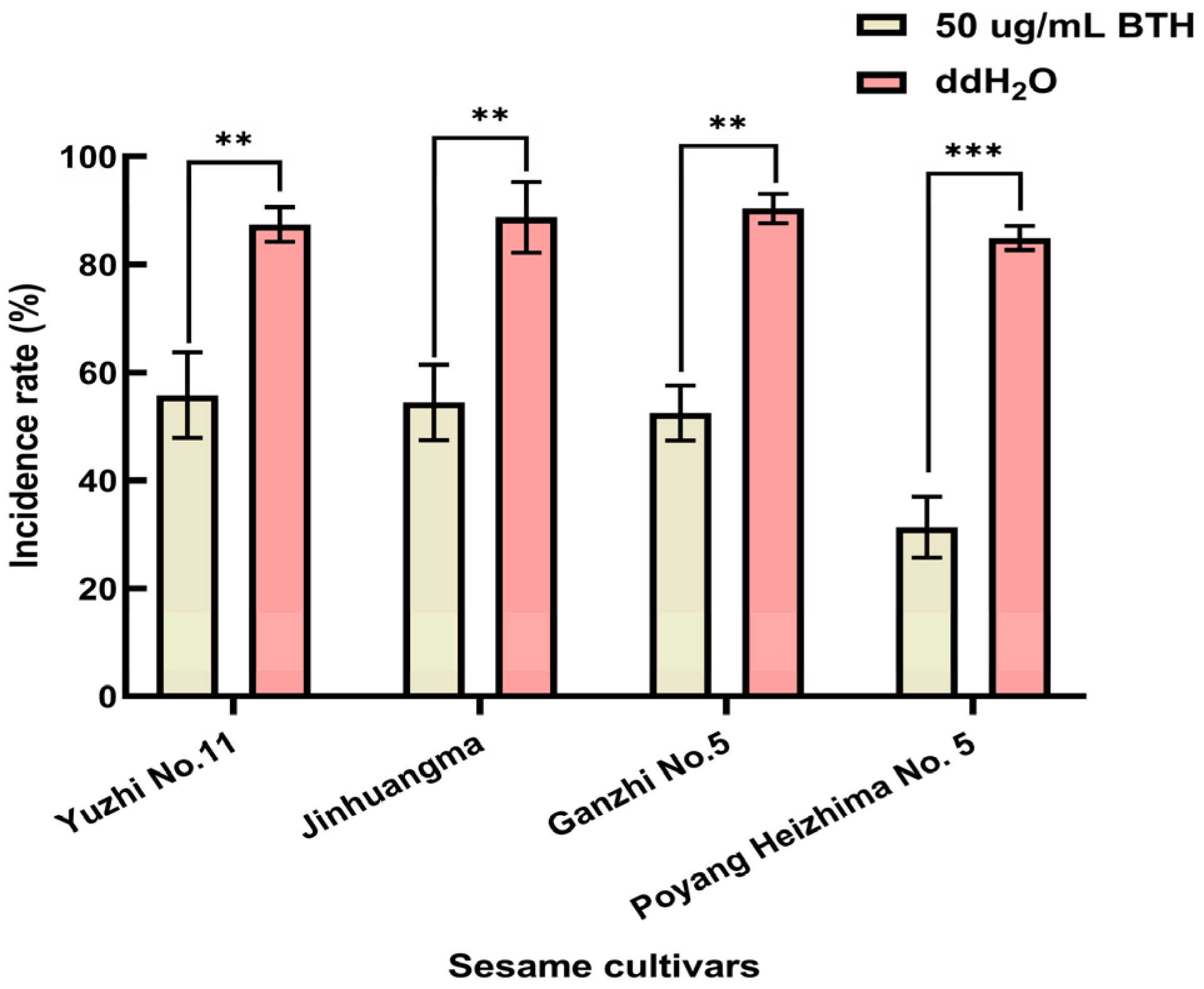 Plants 14 03557 g001