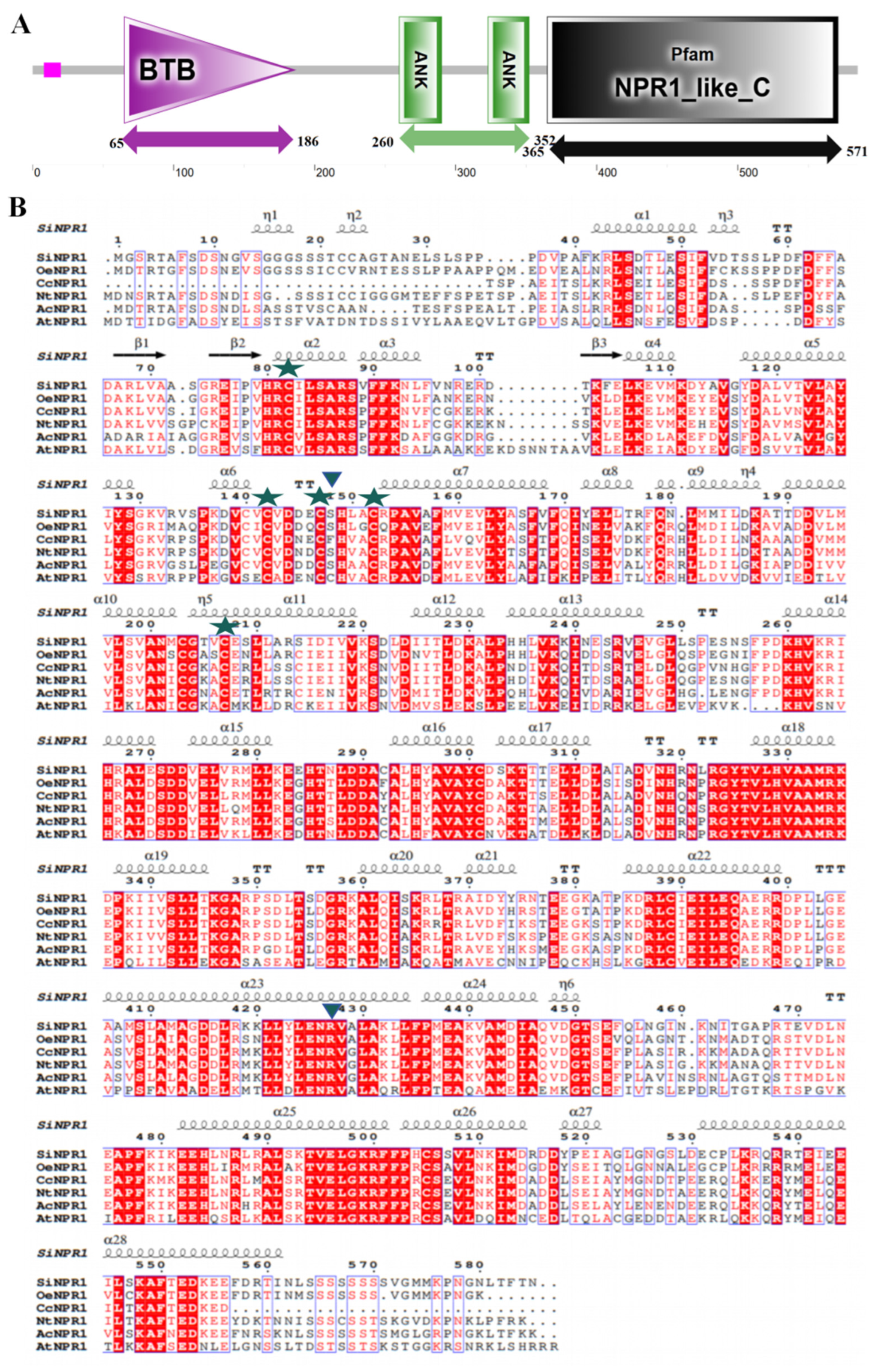 Plants 14 03557 g002