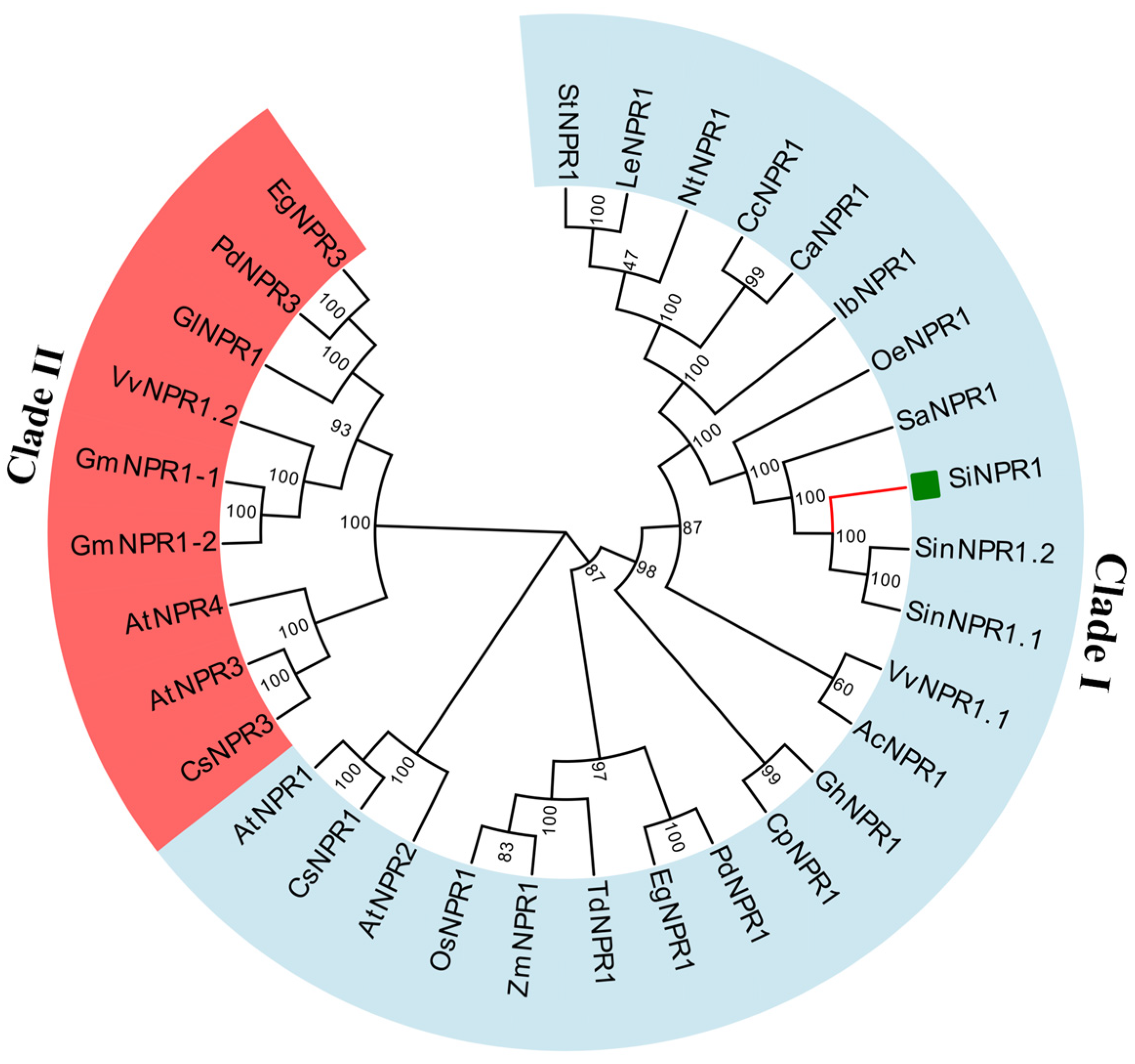 Plants 14 03557 g005