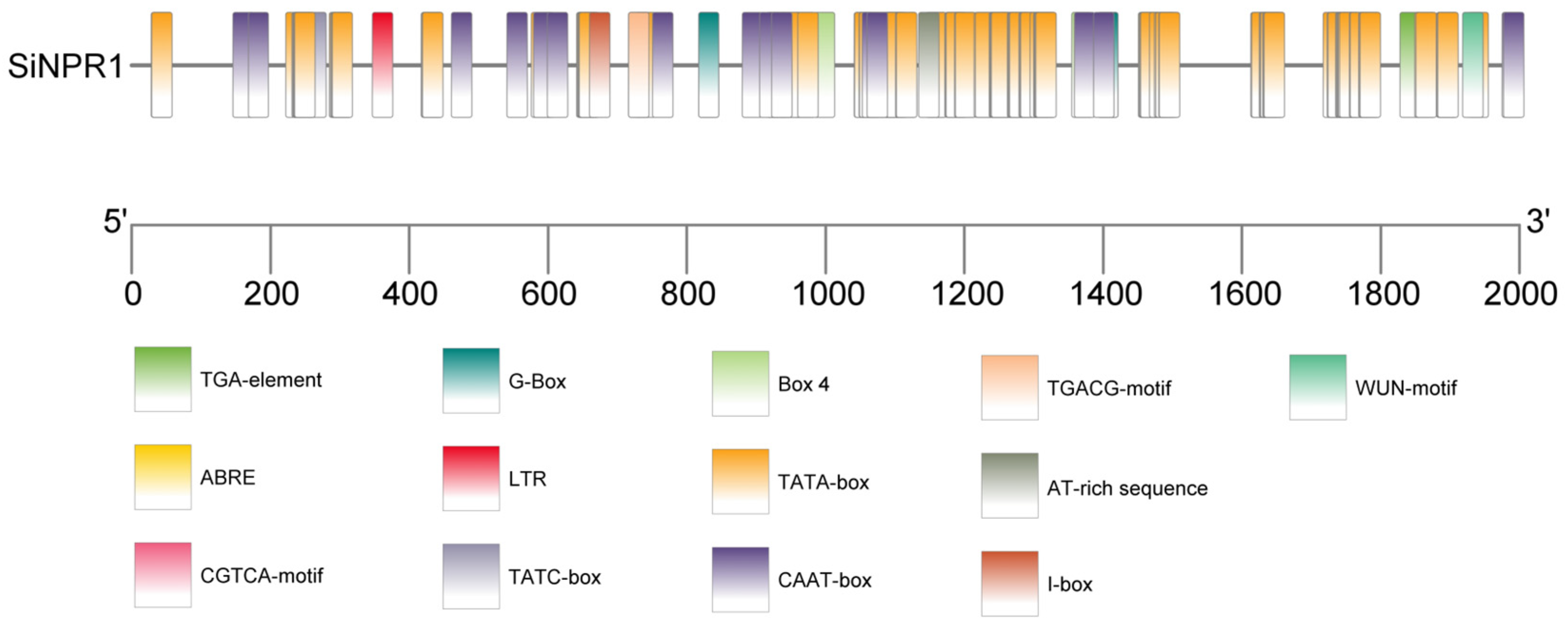 Plants 14 03557 g007