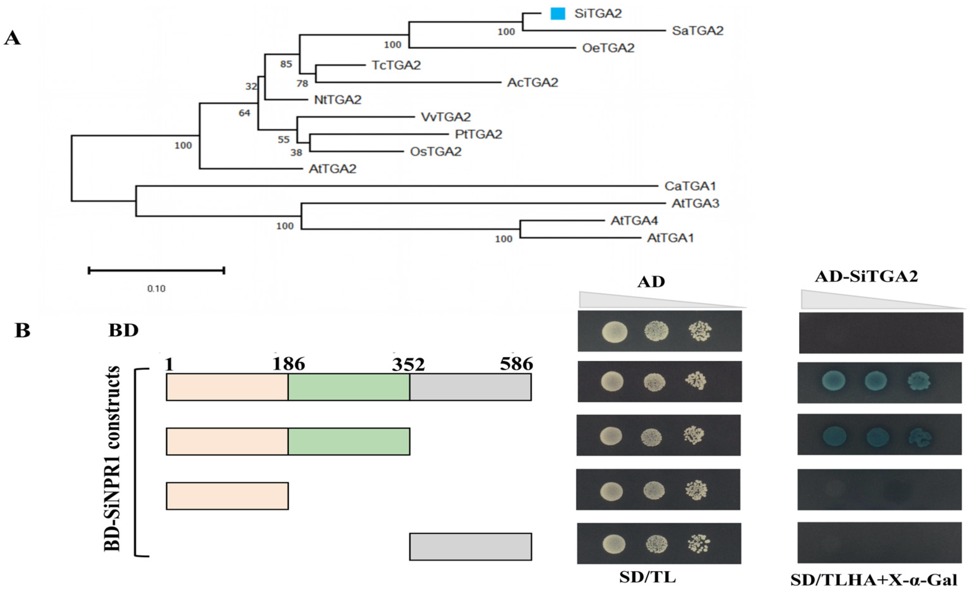 Plants 14 03557 g009