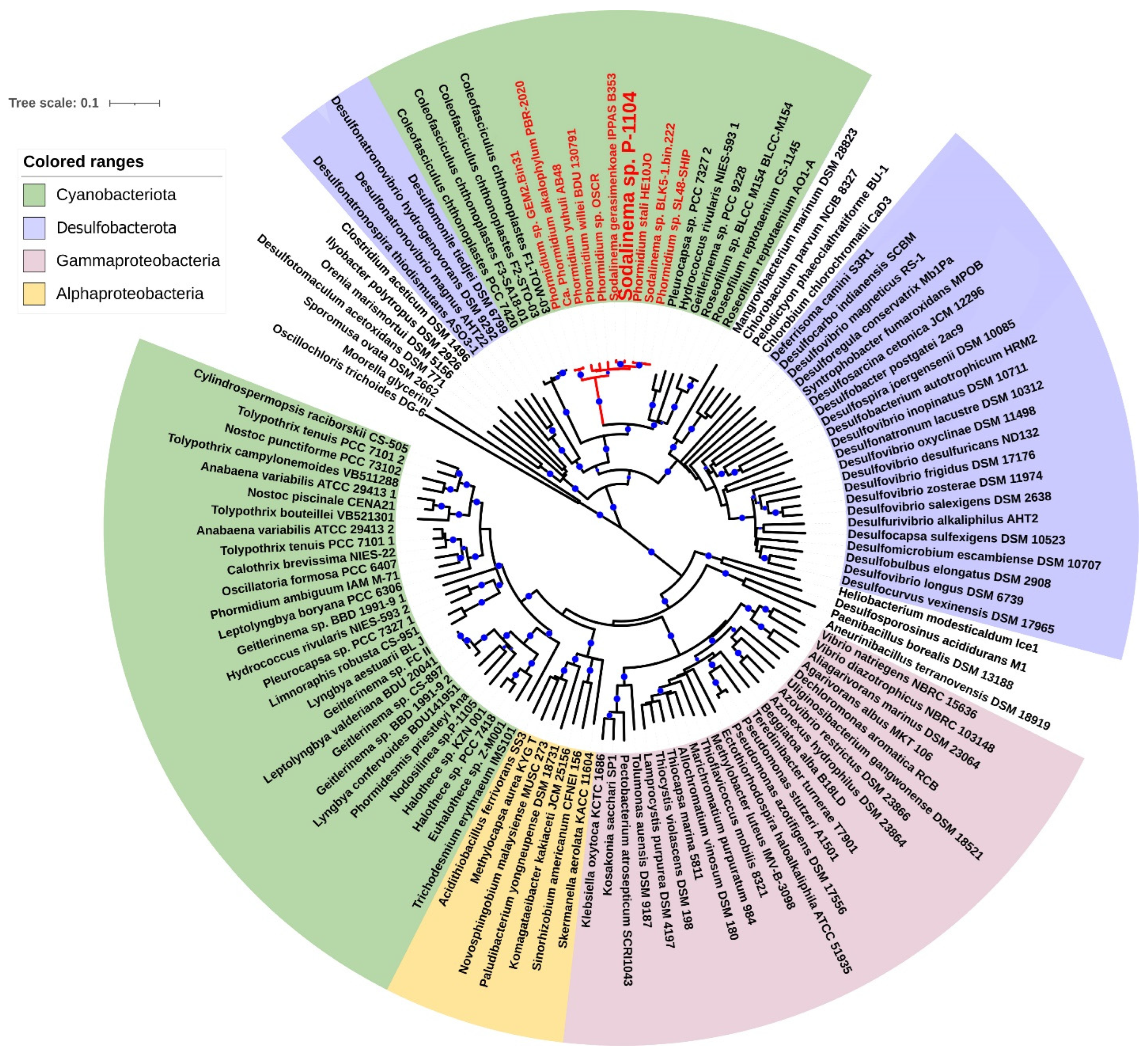 Plants 14 03558 g003