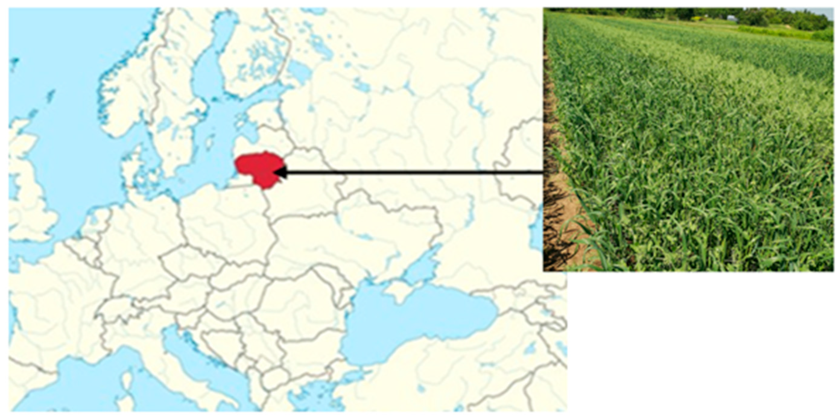 Plants 14 03561 g004