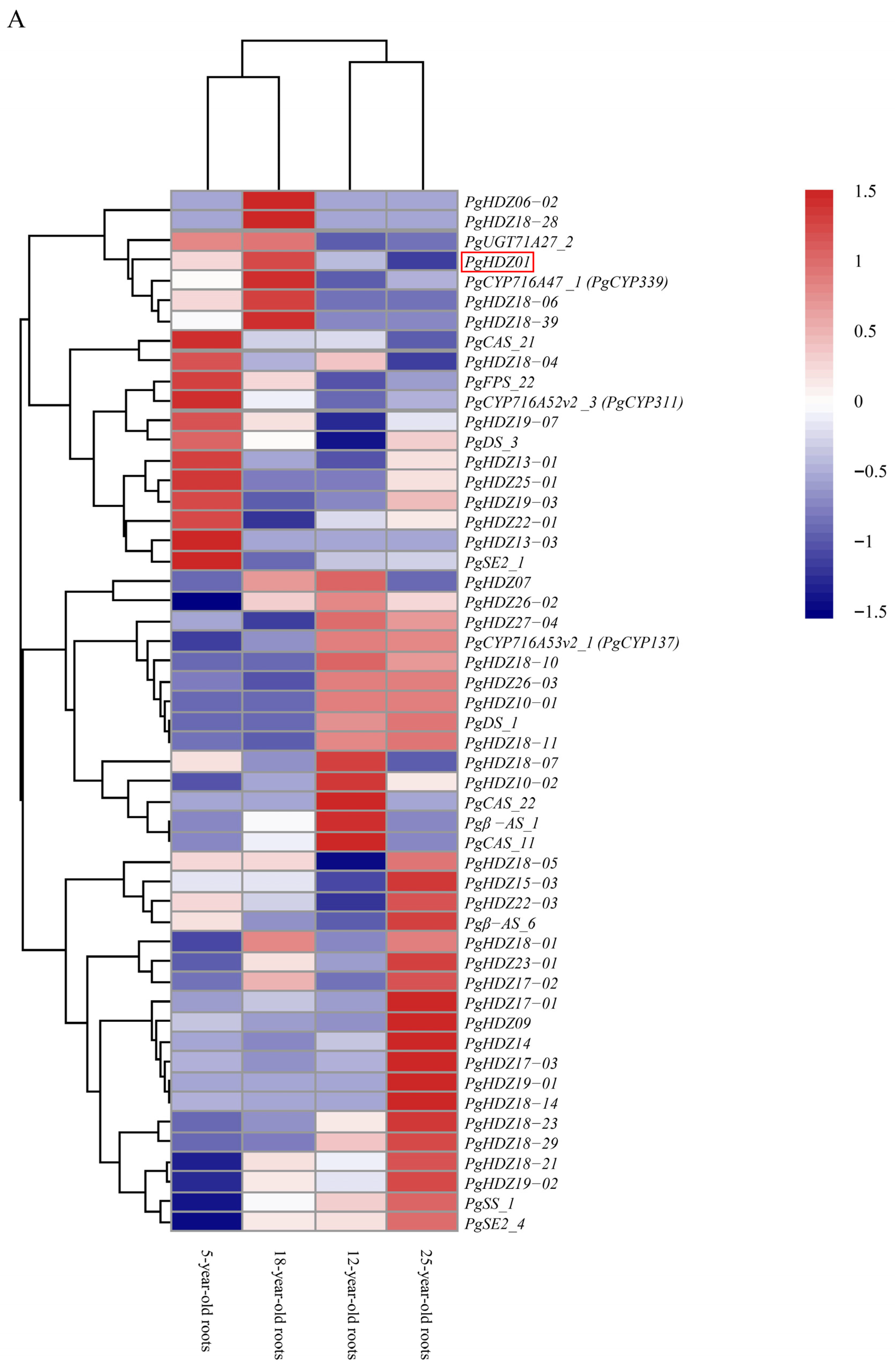 Plants 14 03562 g001a Plants 14 03562 g001a
