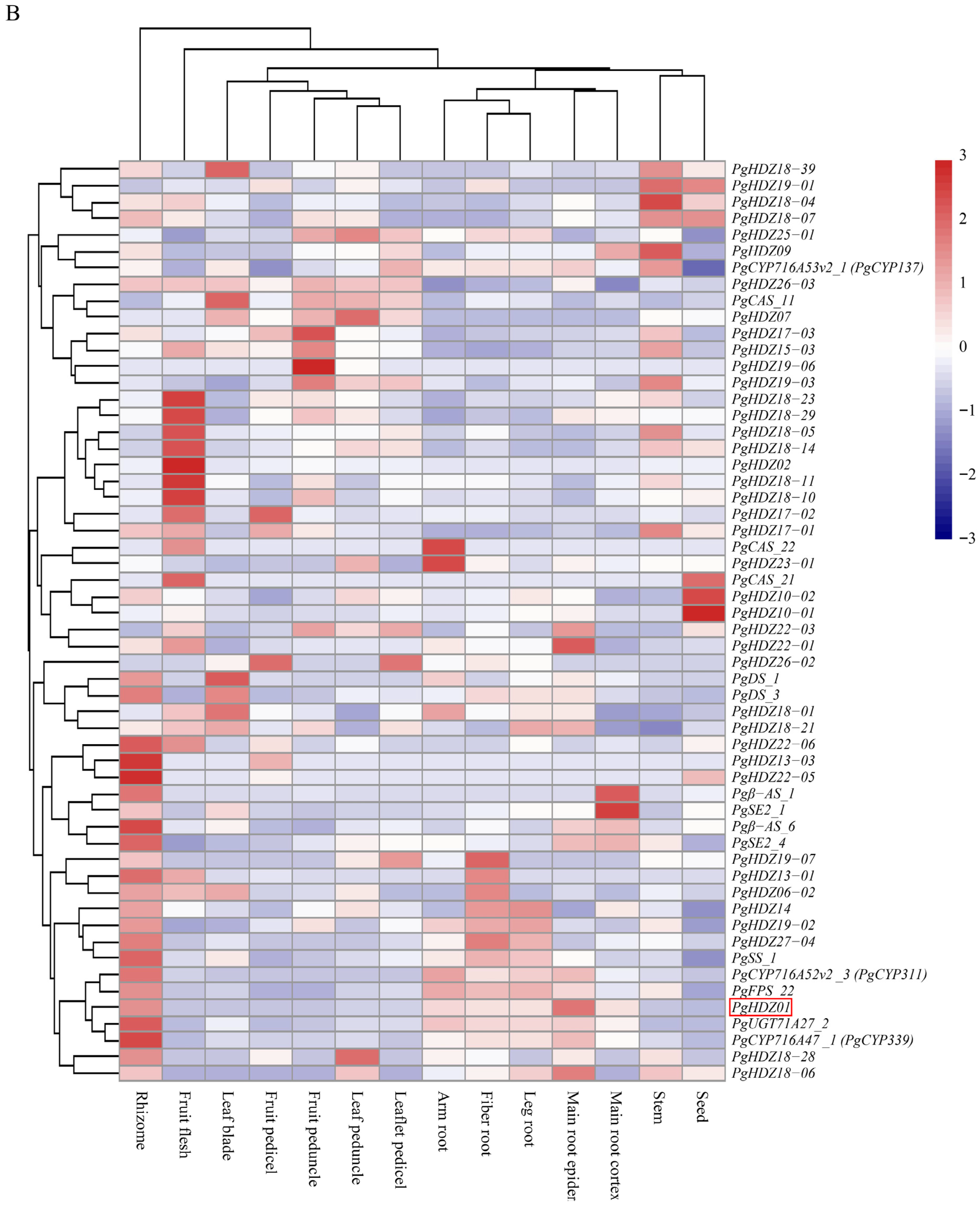Plants 14 03562 g001b Plants 14 03562 g001b
