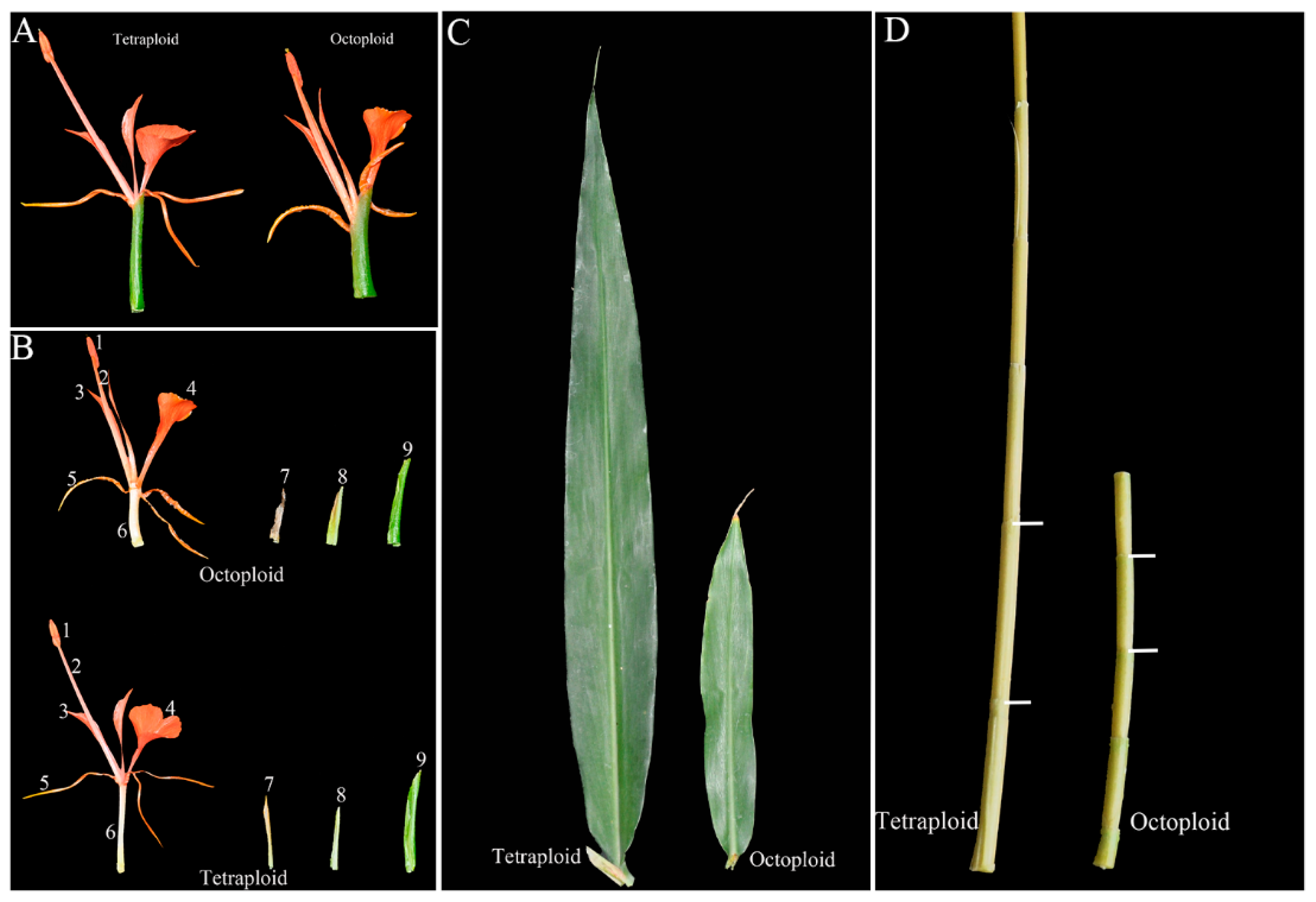 Plants 14 03573 g006