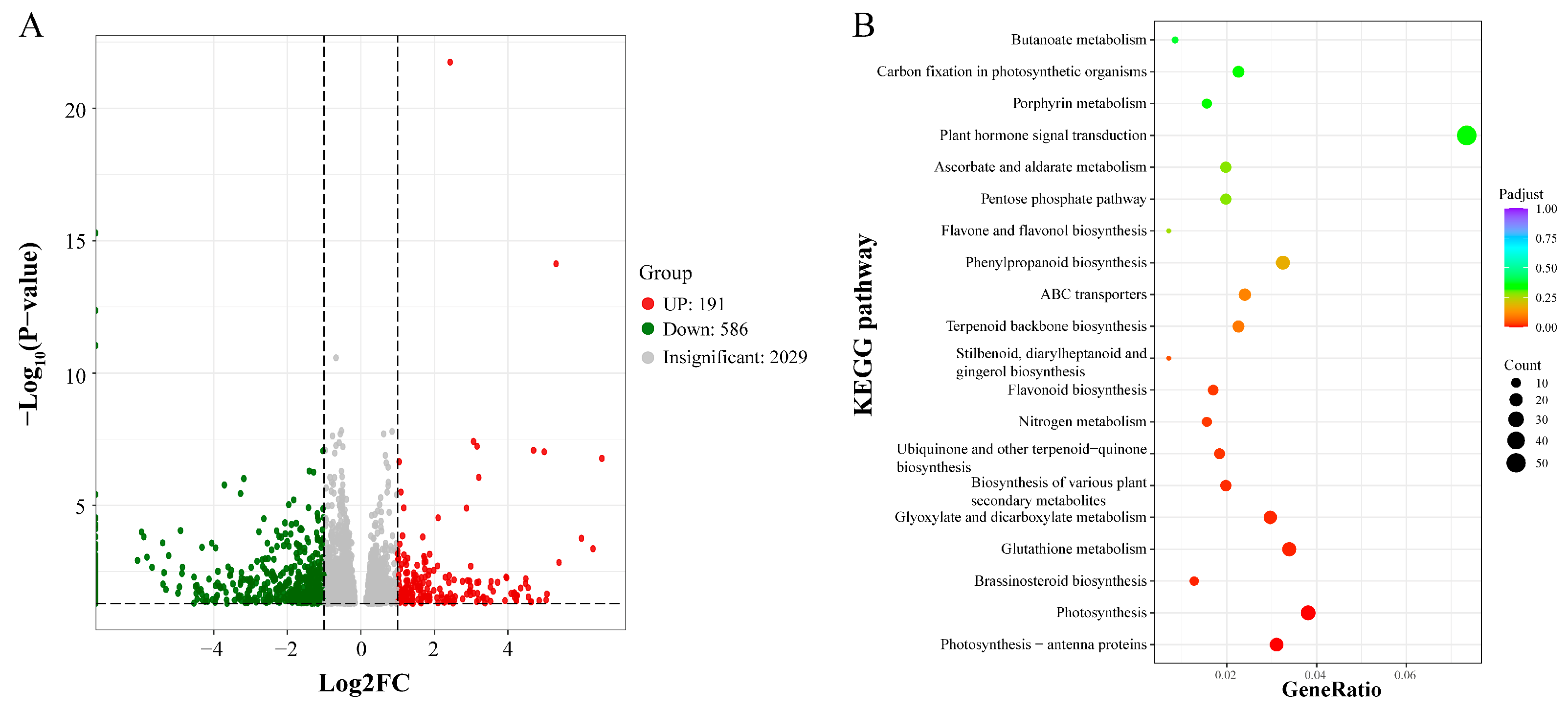 Plants 14 03573 g015