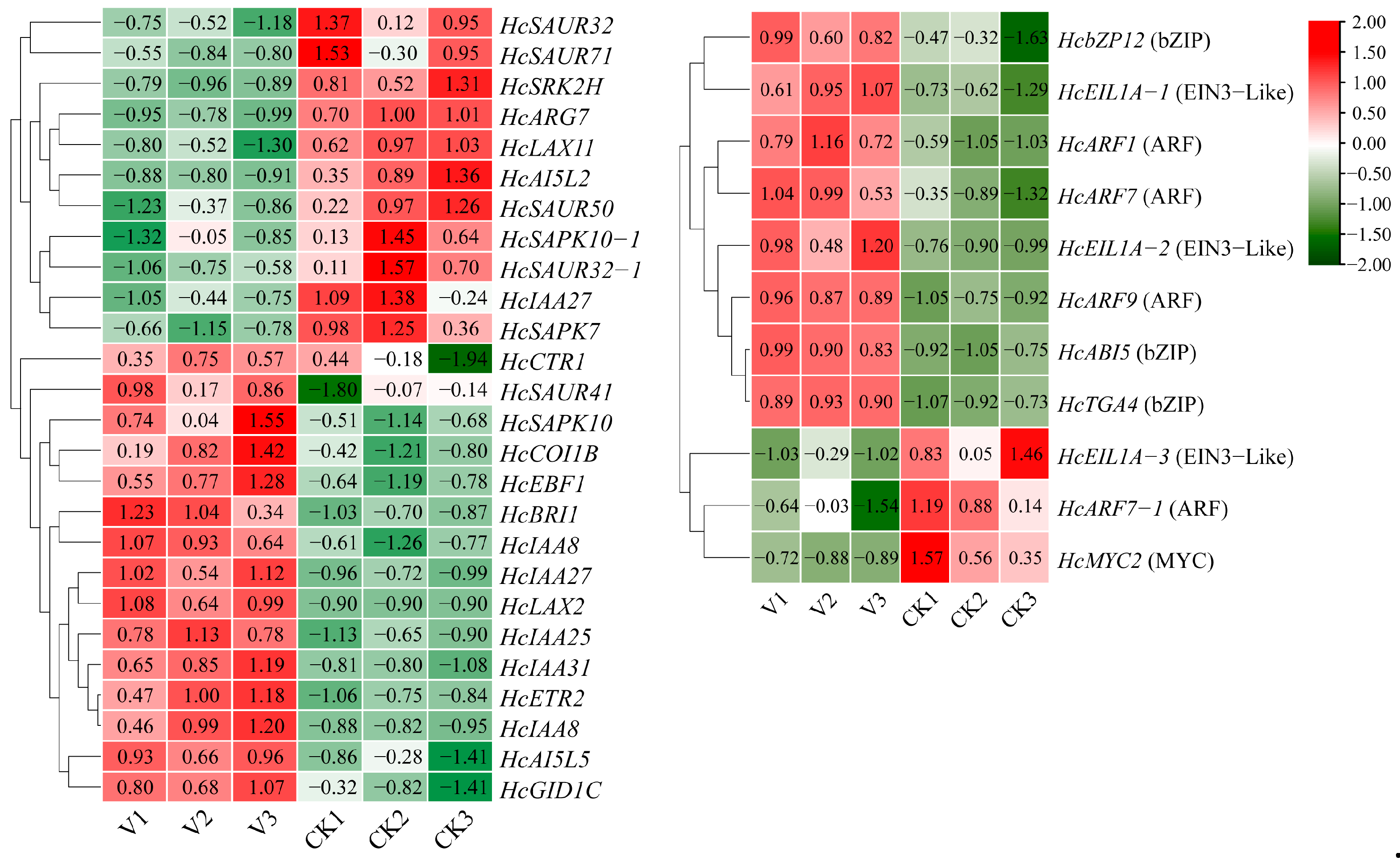 Plants 14 03573 g016