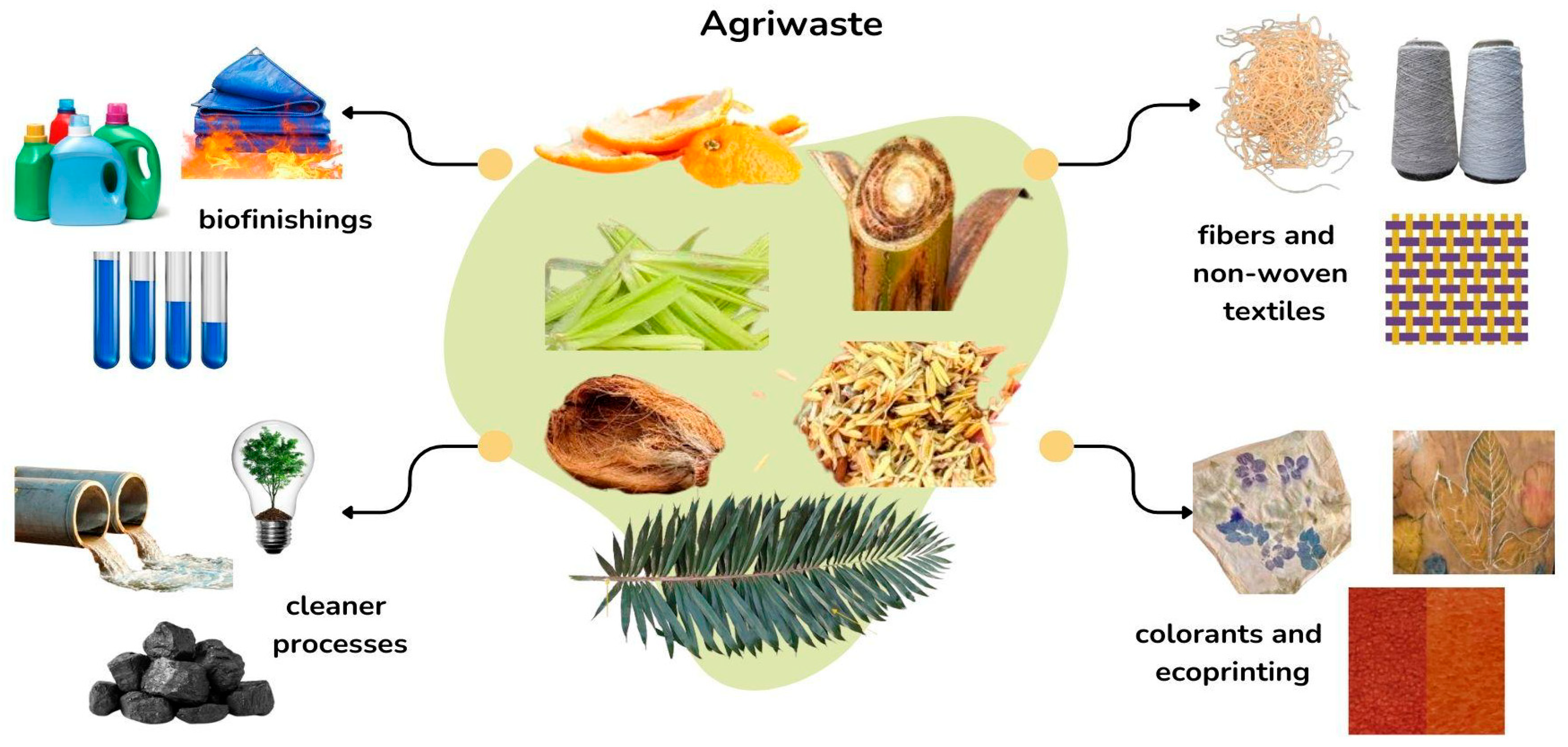 Plants 14 03574 g002 Plants 14 03574 g002