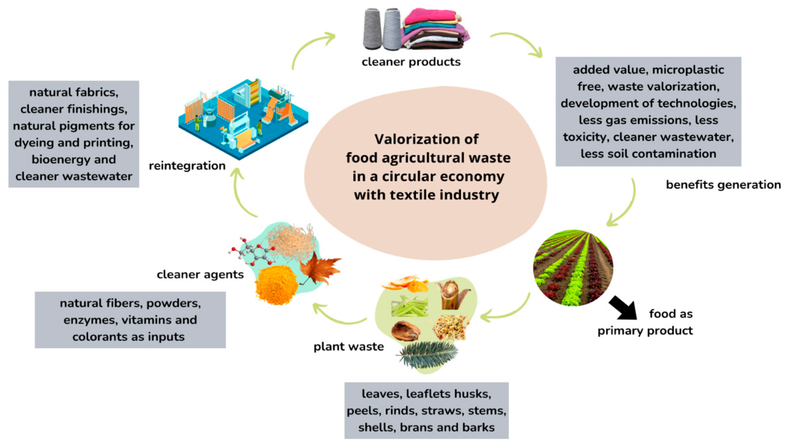 Plants 14 03574 g003 Plants 14 03574 g003