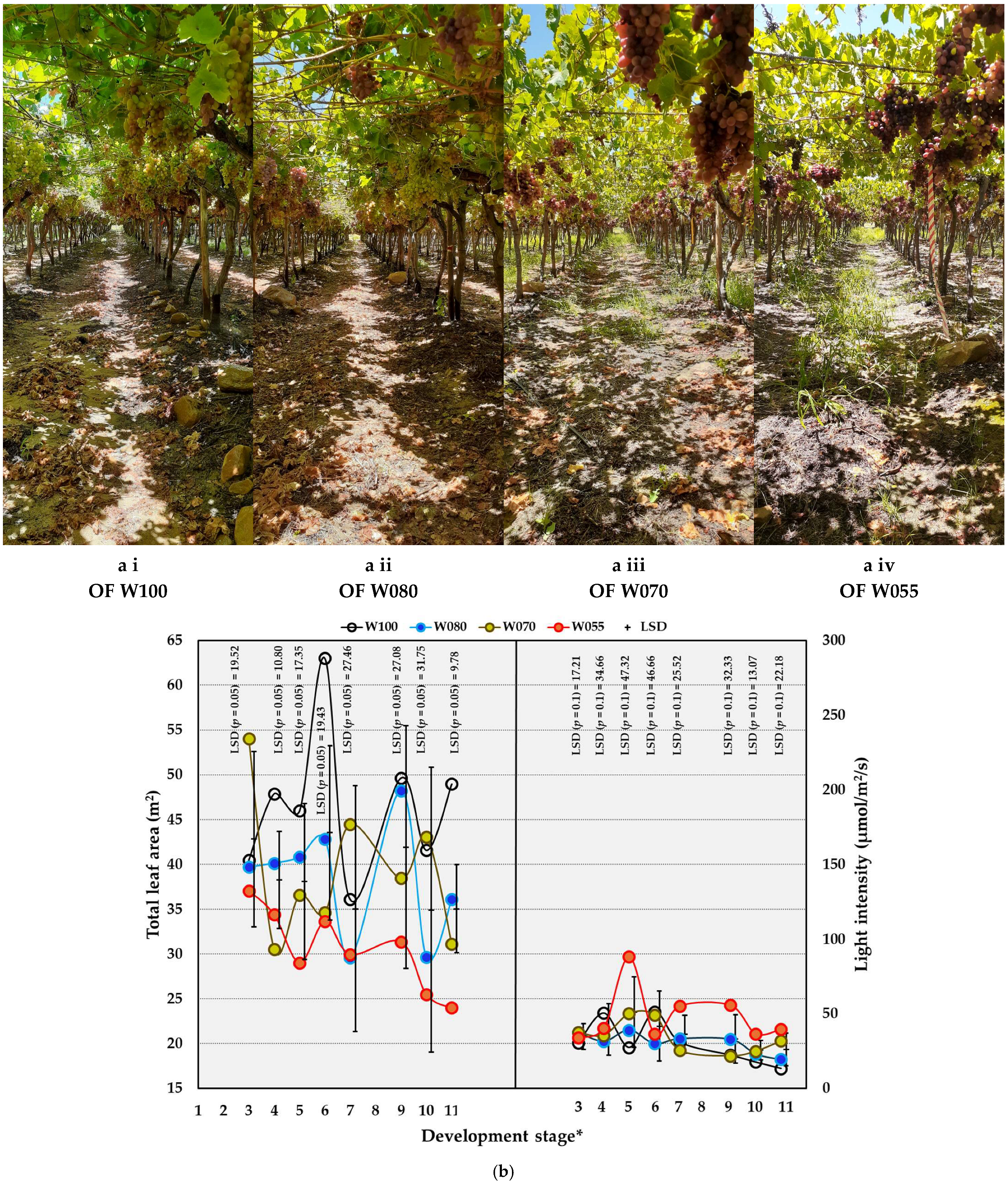 Plants 14 03579 g003b