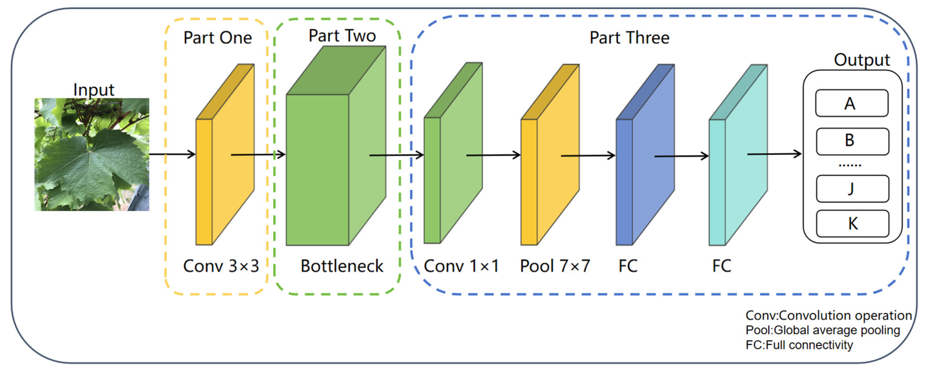 Plants 14 03581 g002 Plants 14 03581 g002