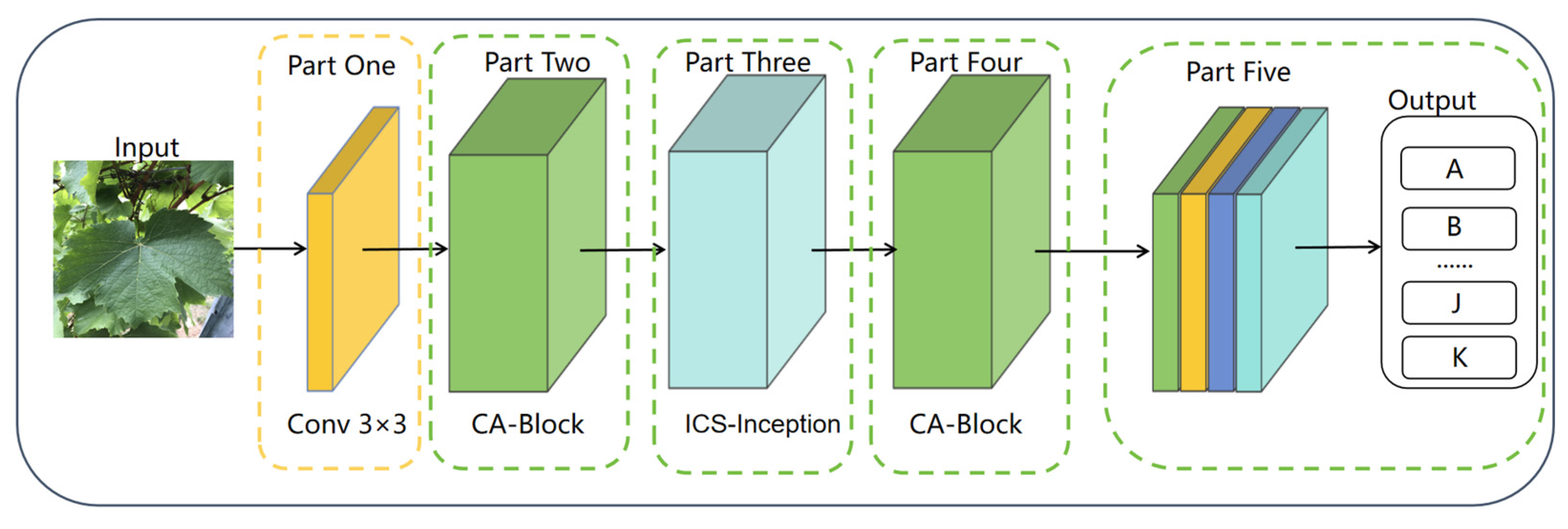 Plants 14 03581 g006 Plants 14 03581 g006