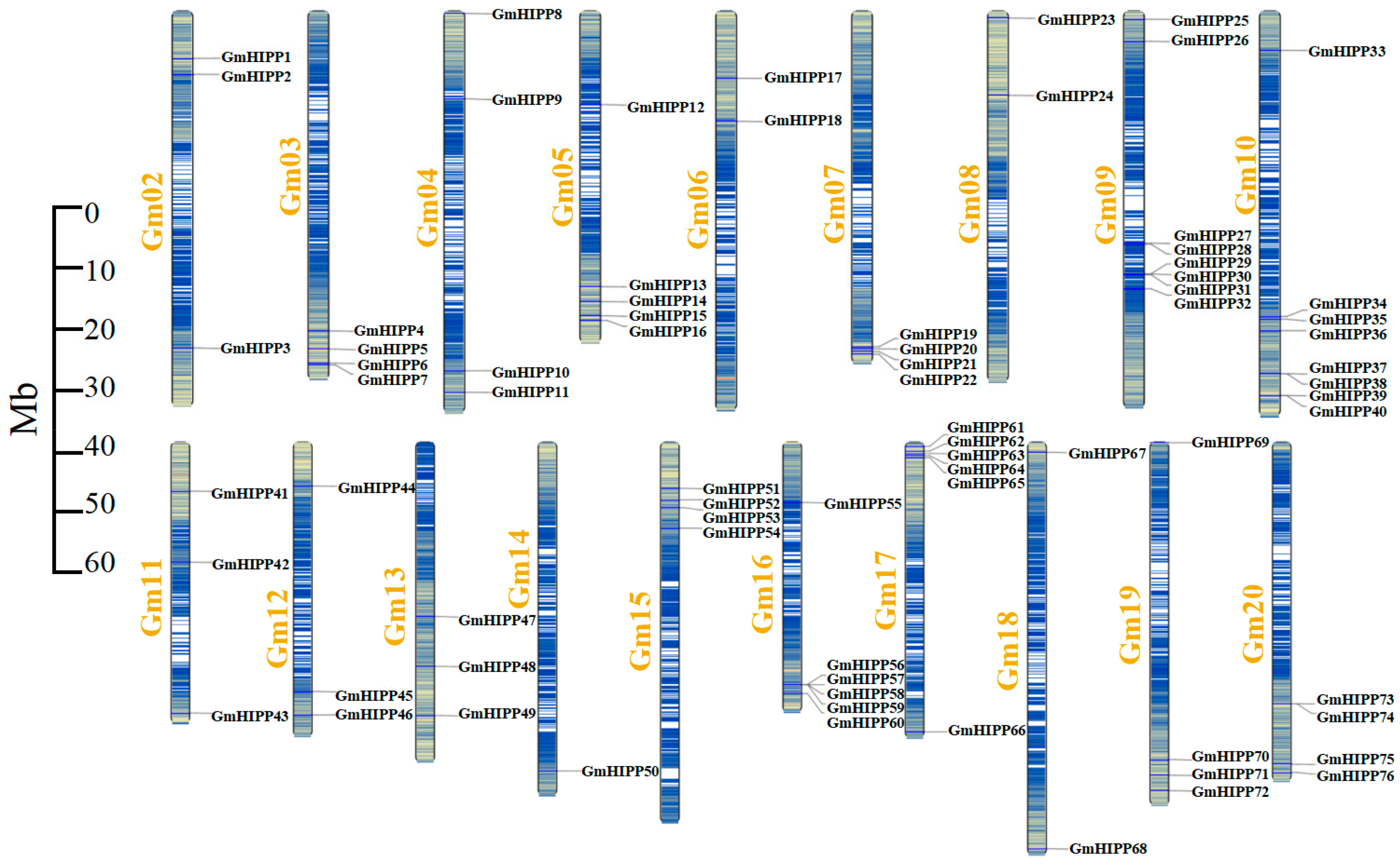 Plants 14 03582 g001