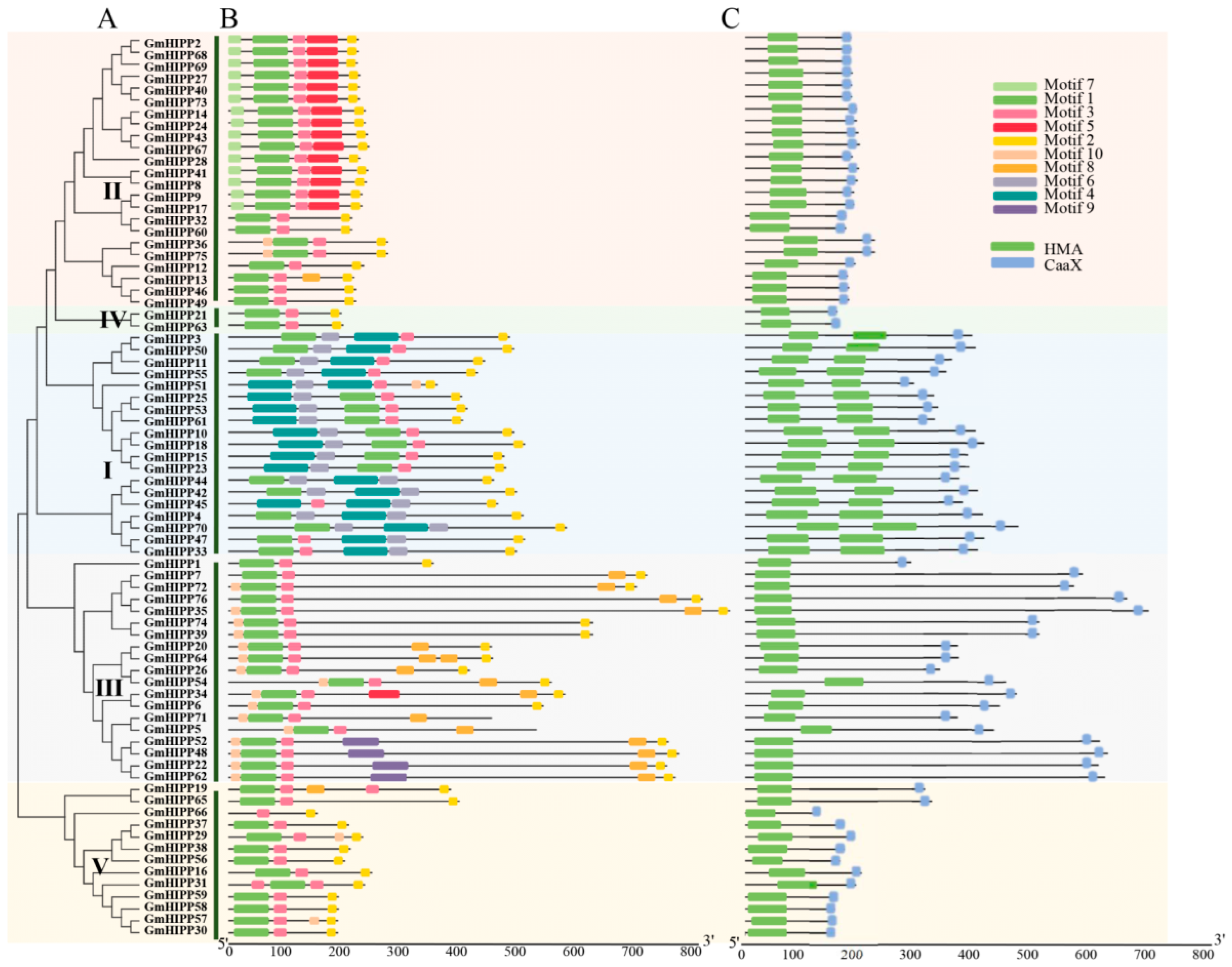 Plants 14 03582 g002