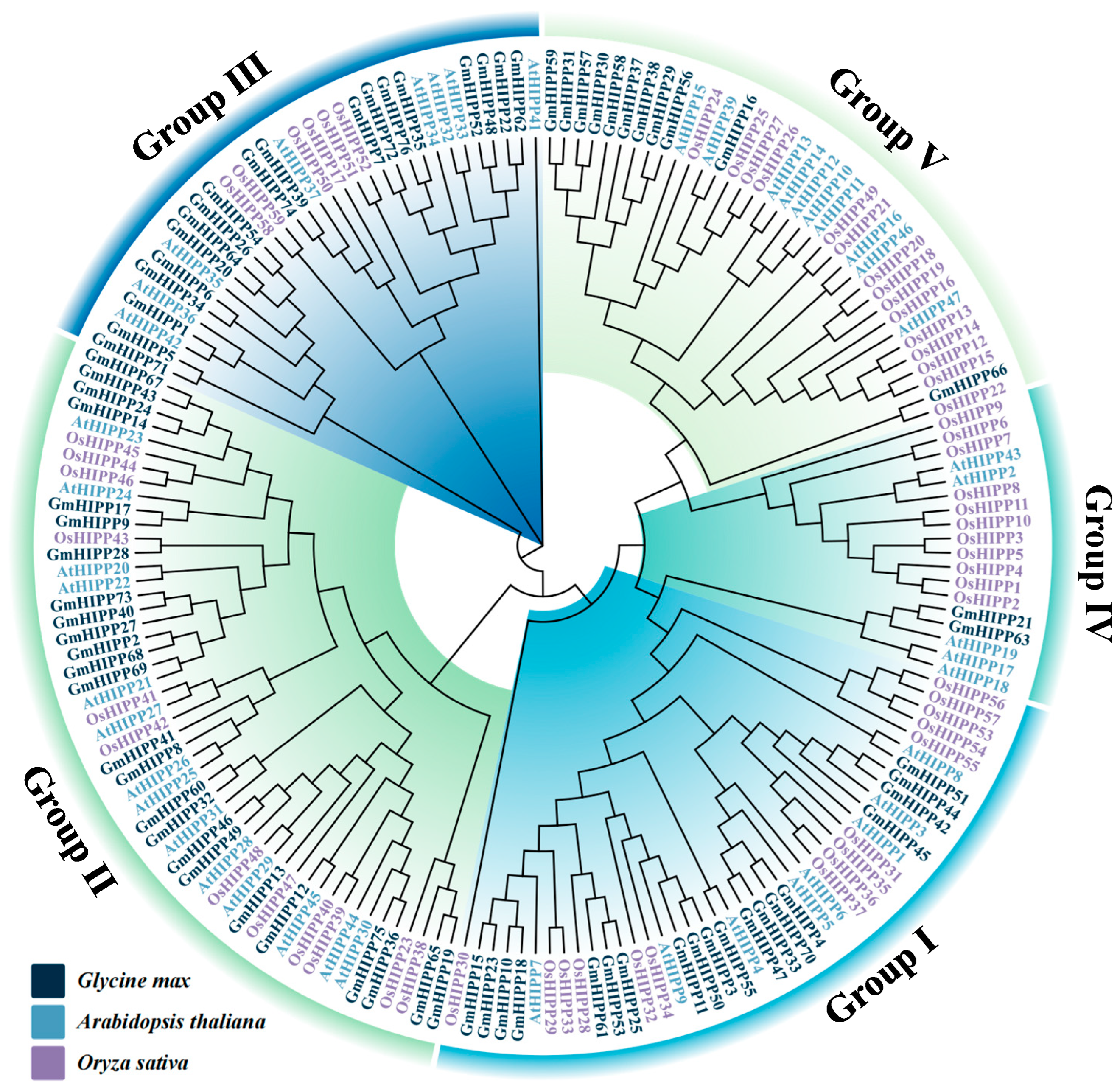 Plants 14 03582 g003