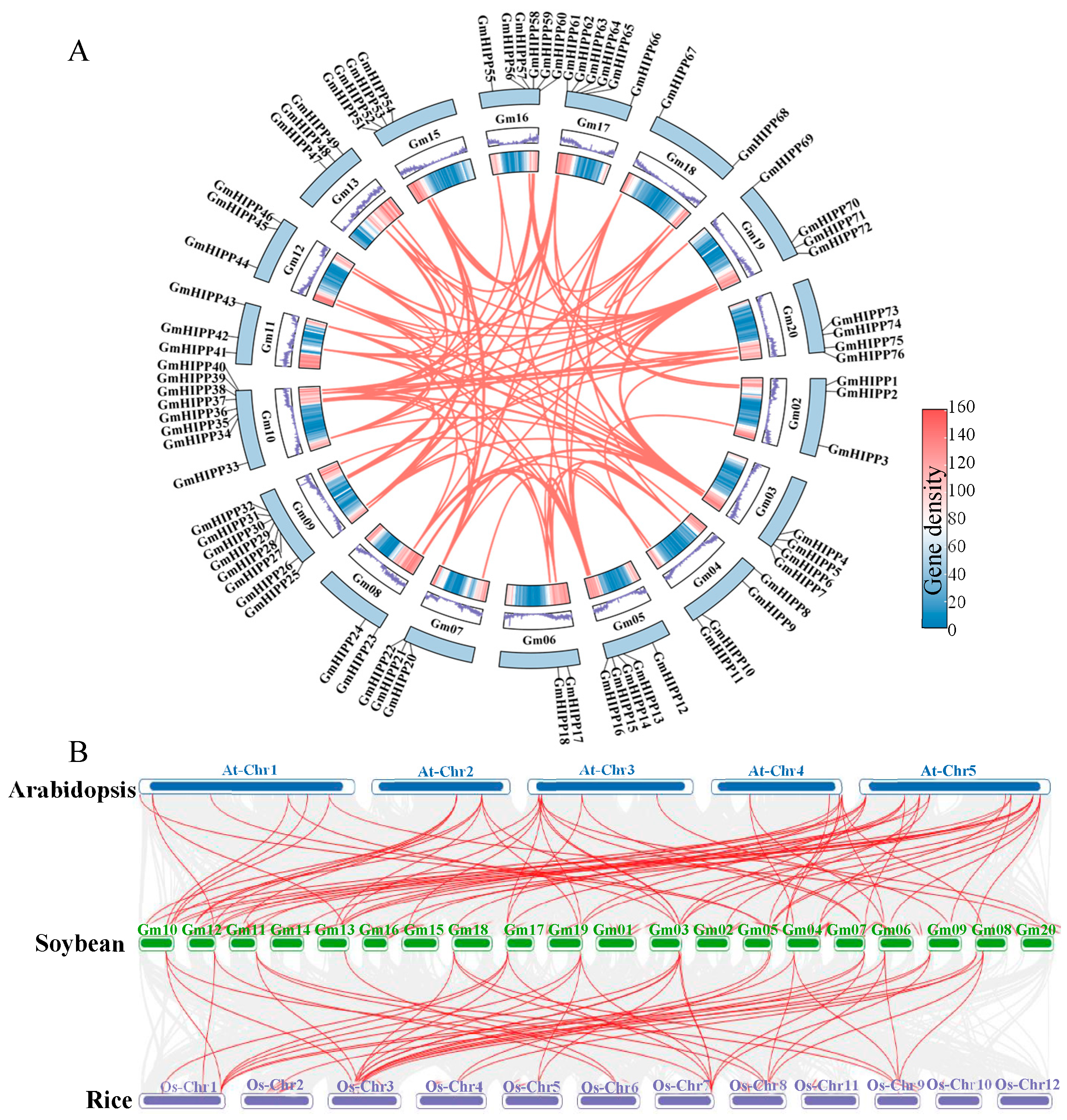Plants 14 03582 g004
