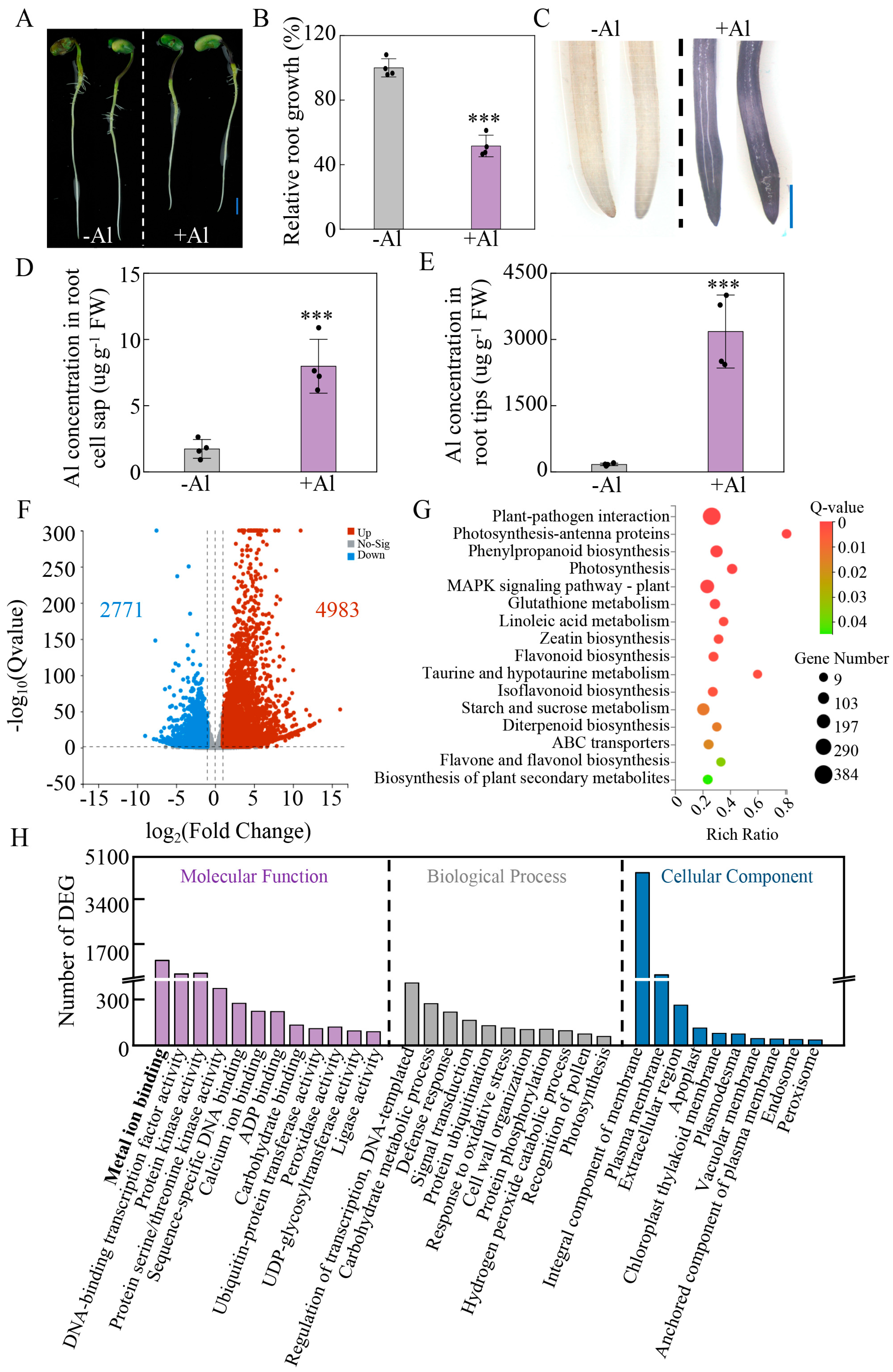 Plants 14 03582 g006