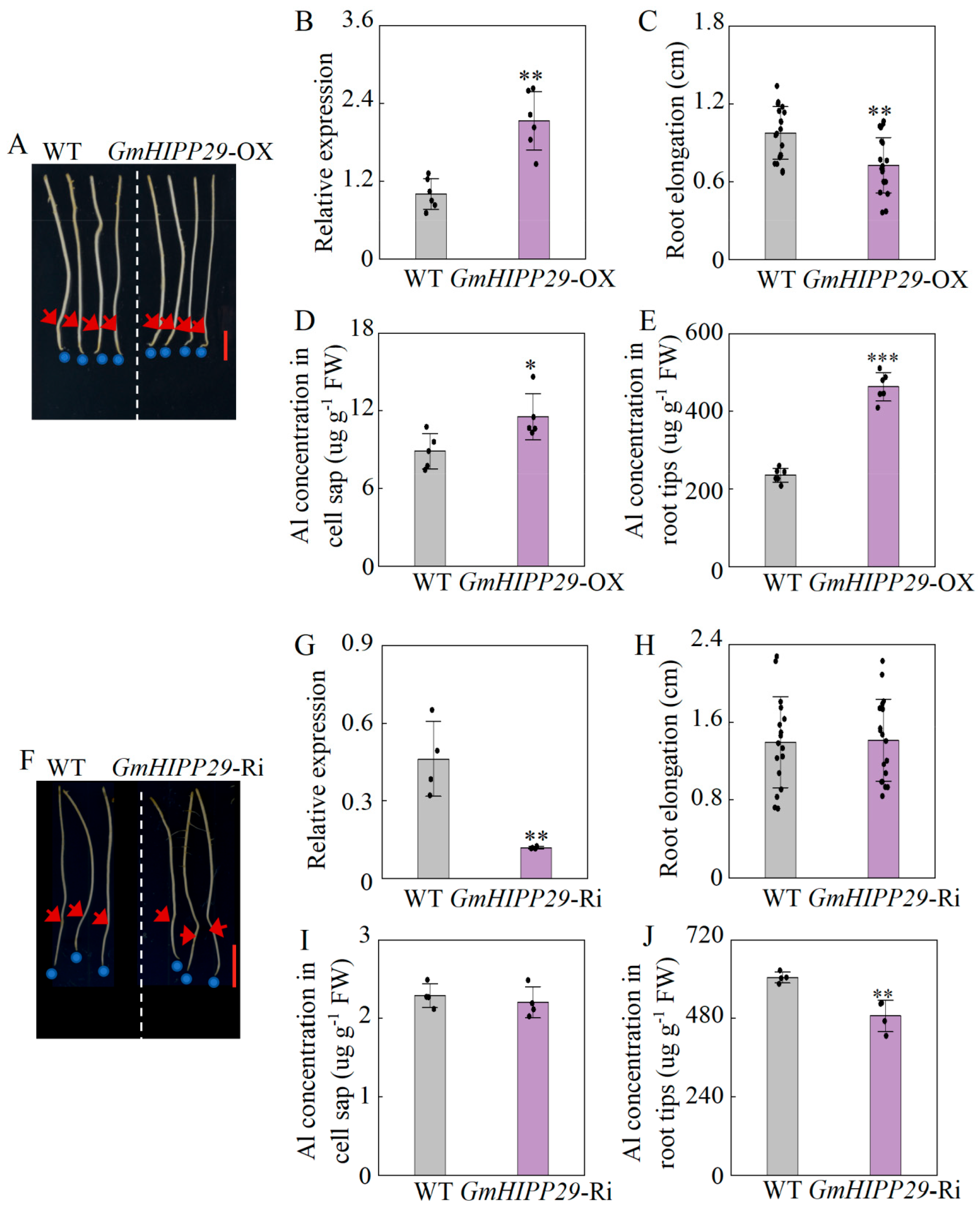 Plants 14 03582 g009