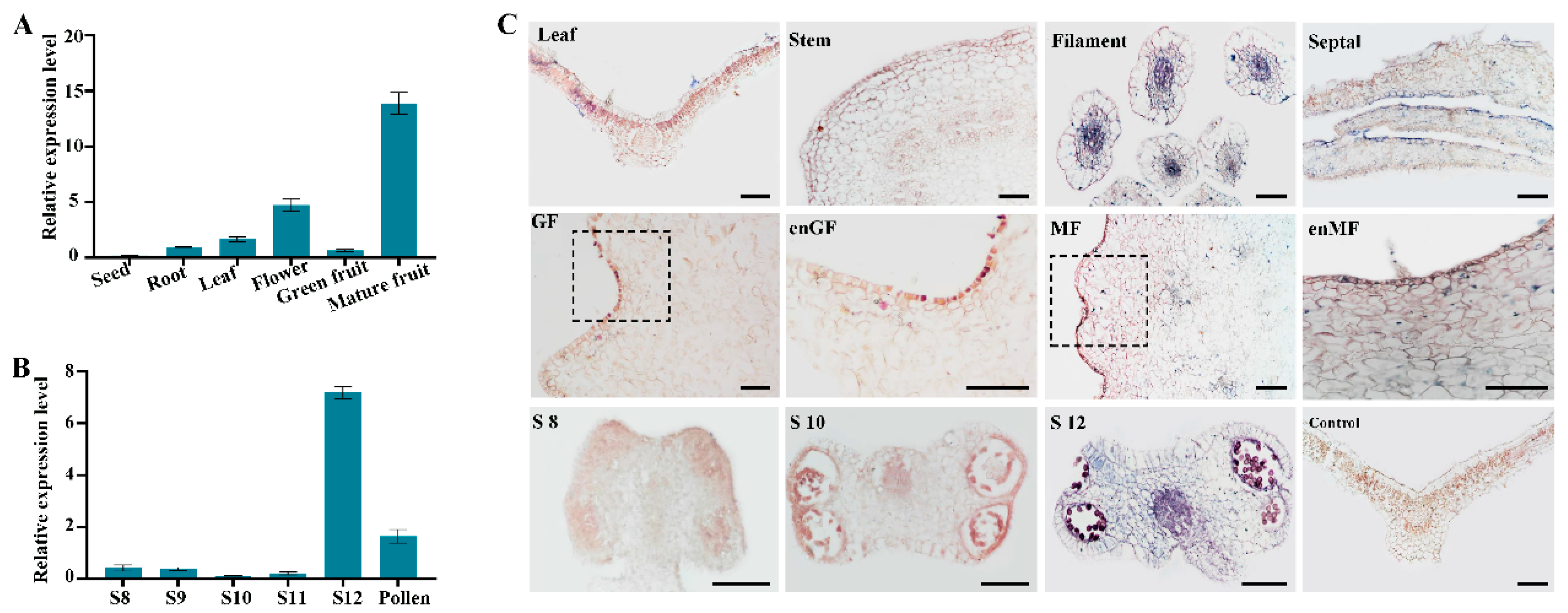 Plants 14 03583 g001