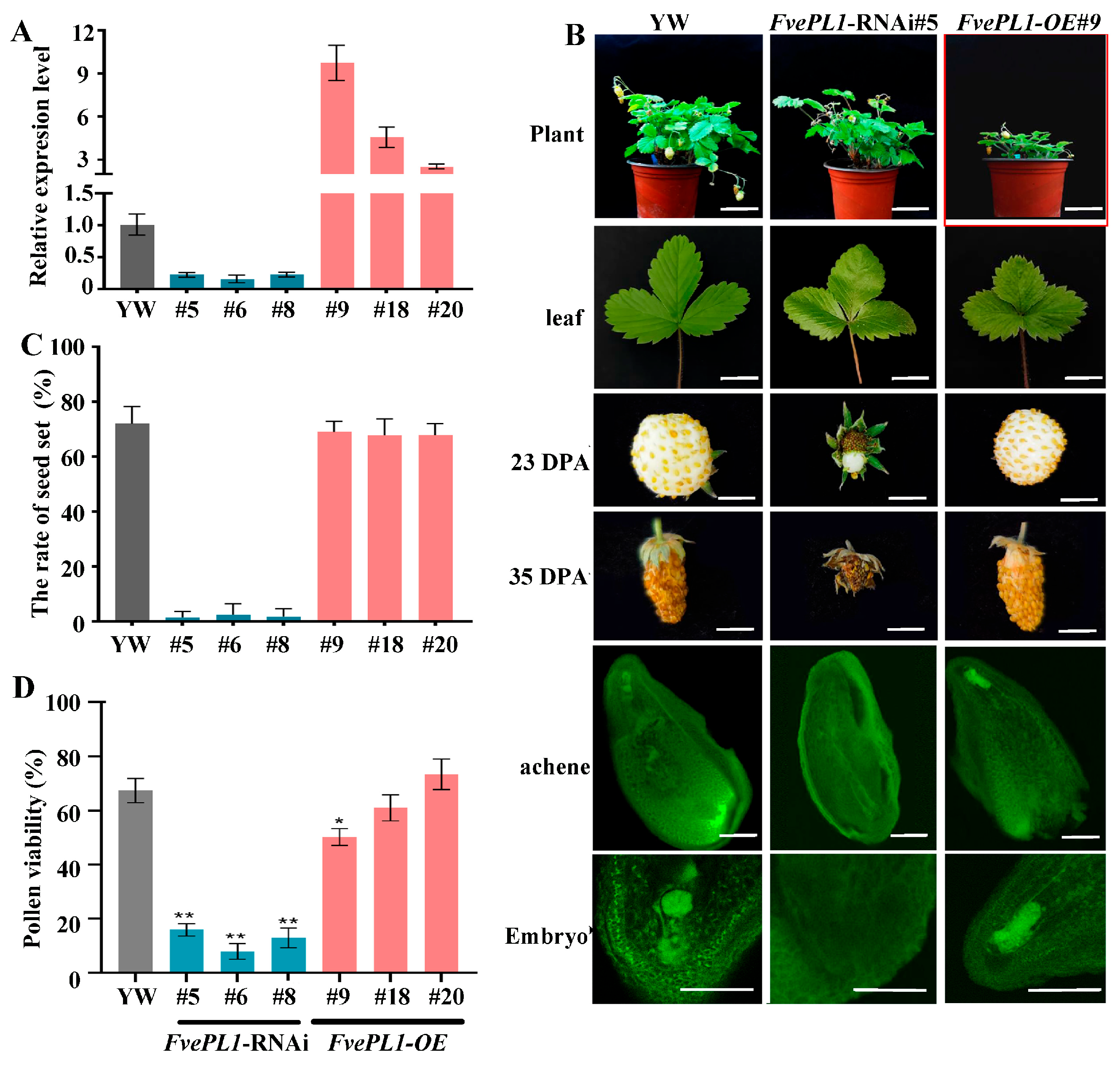 Plants 14 03583 g003