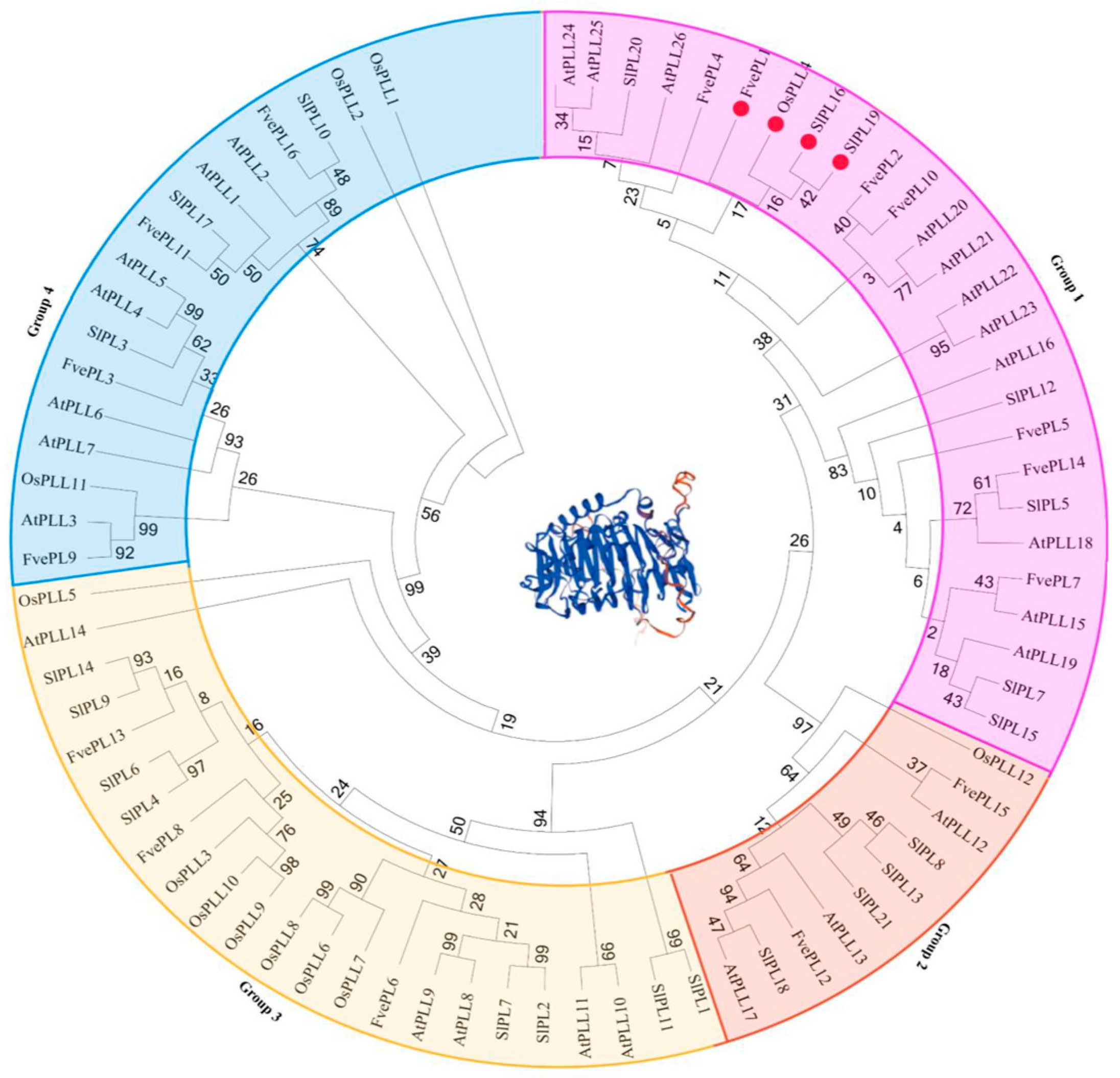 Plants 14 03583 g0a1
