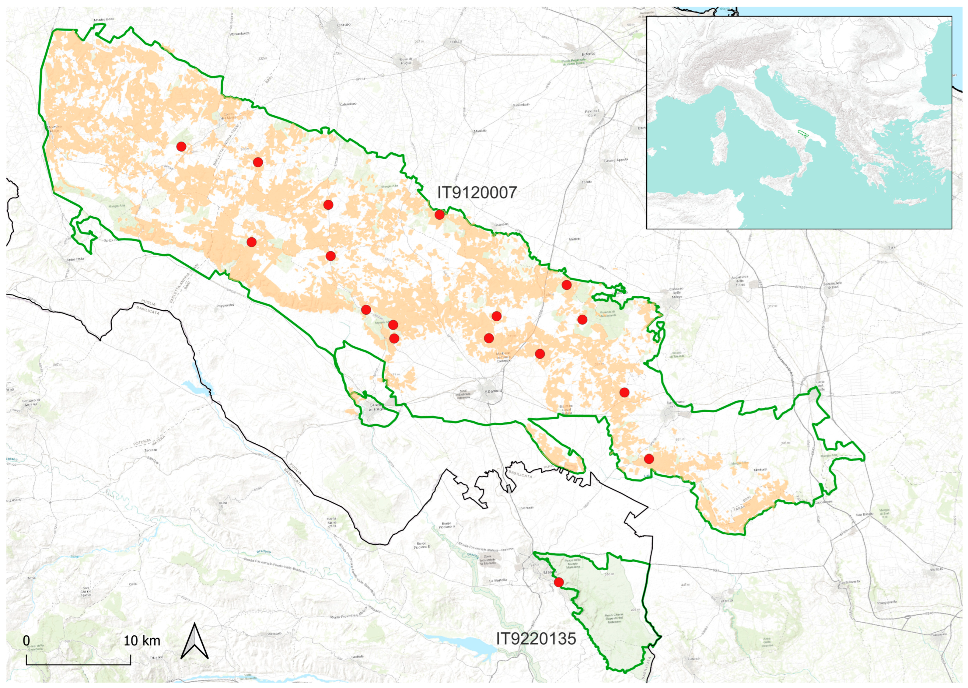 Plants 14 03584 g006 Plants 14 03584 g006