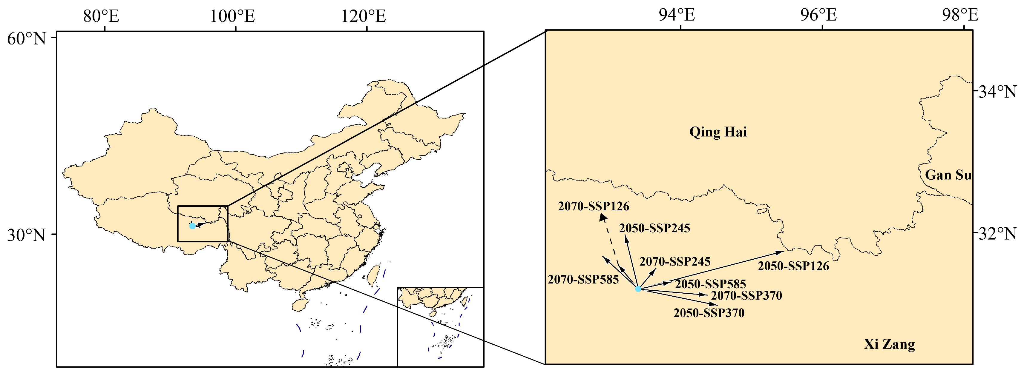 Plants 14 03585 g012