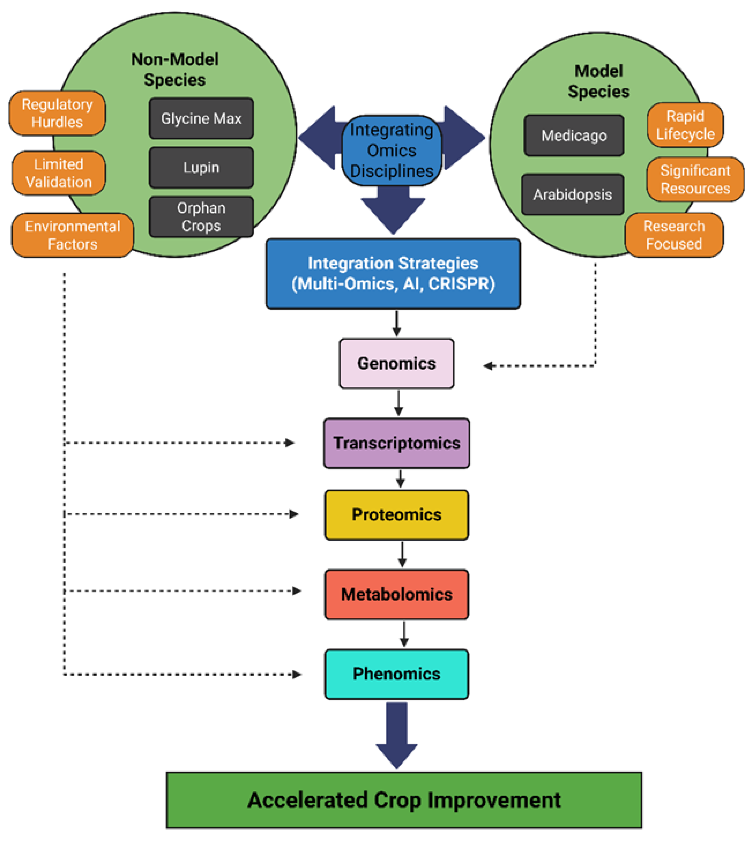 Plants 14 03586 g001