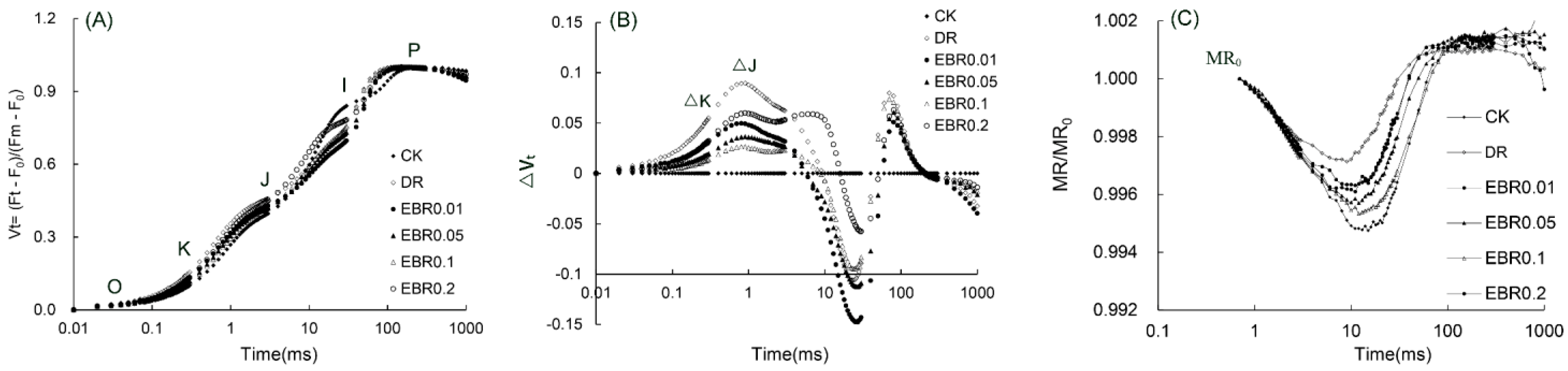 Plants 14 03587 g008