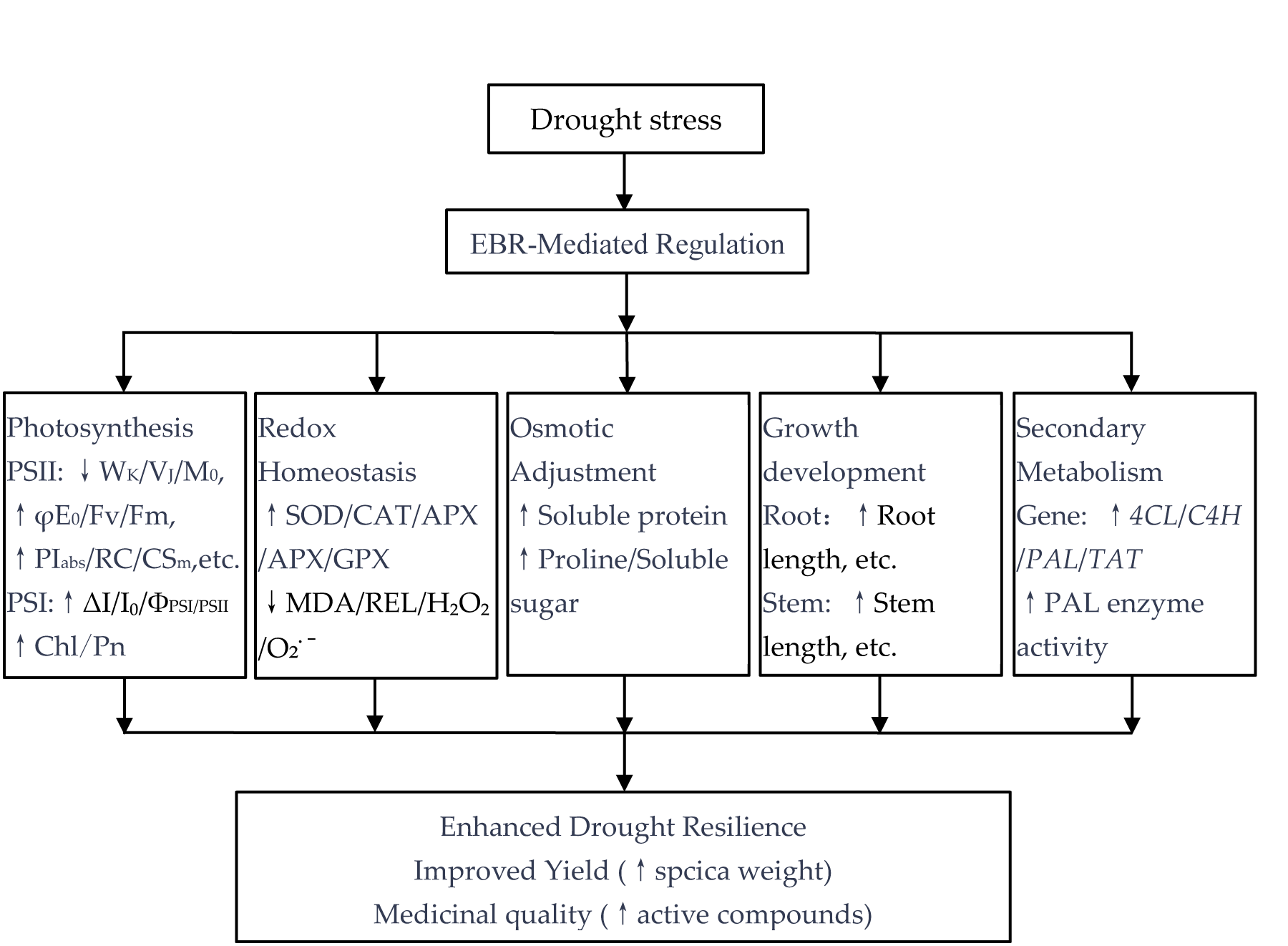 Plants 14 03587 g012