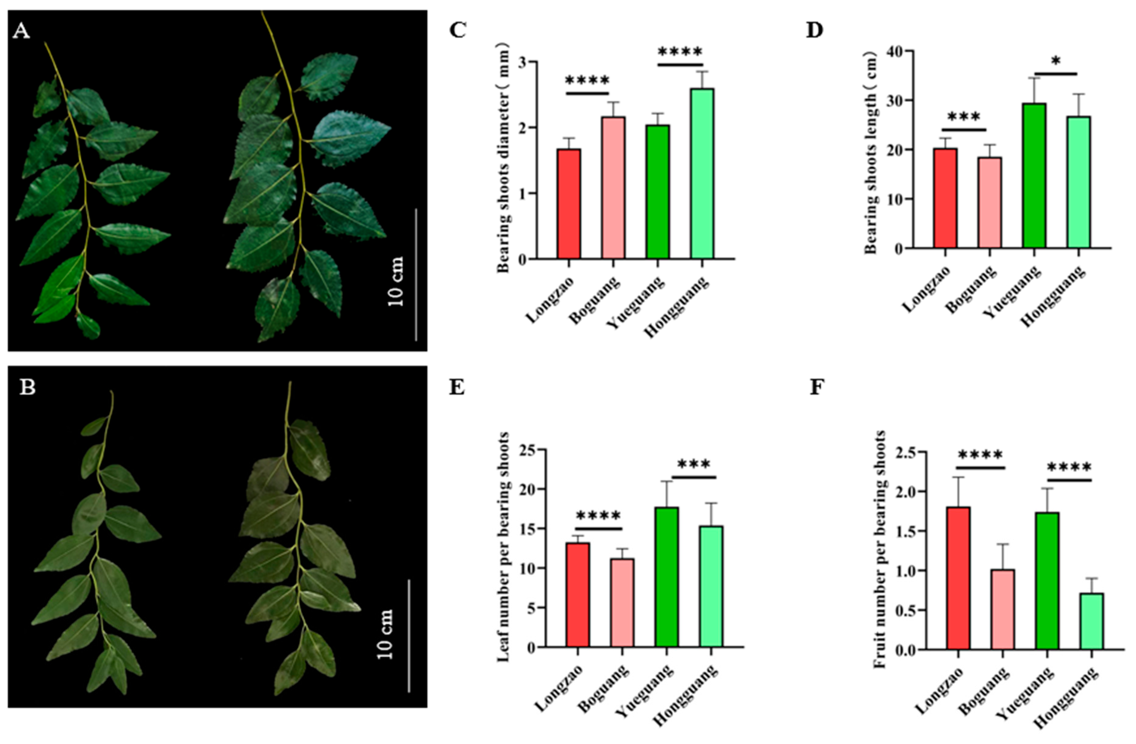 Plants 14 03588 g003