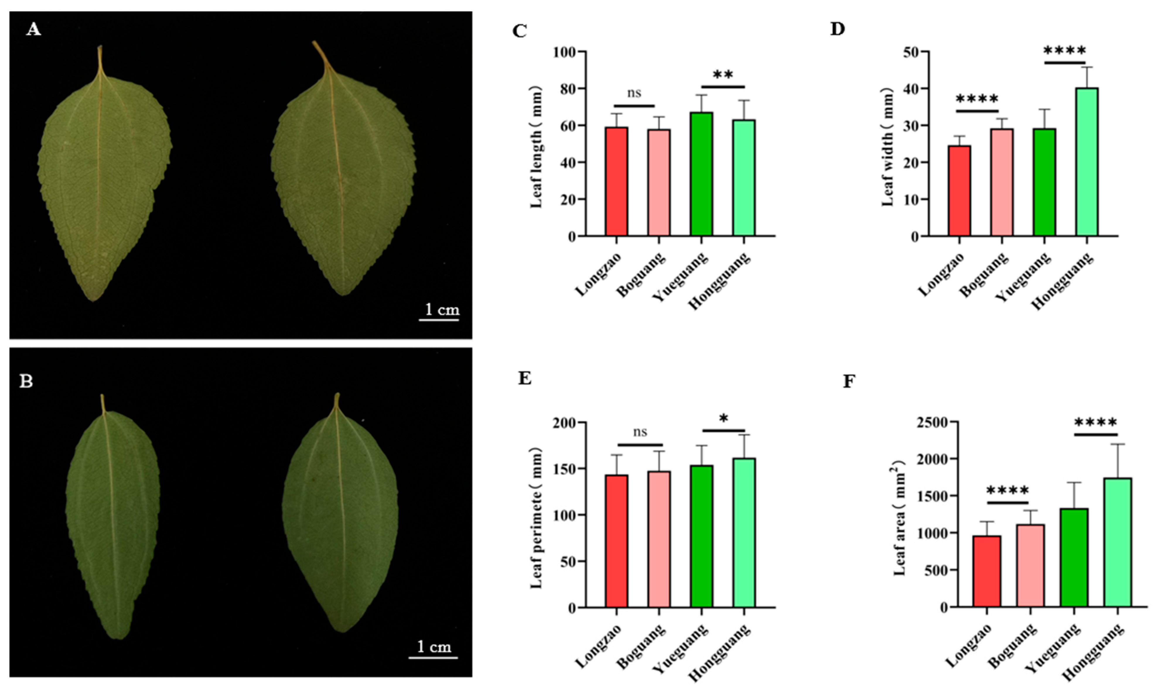 Plants 14 03588 g004