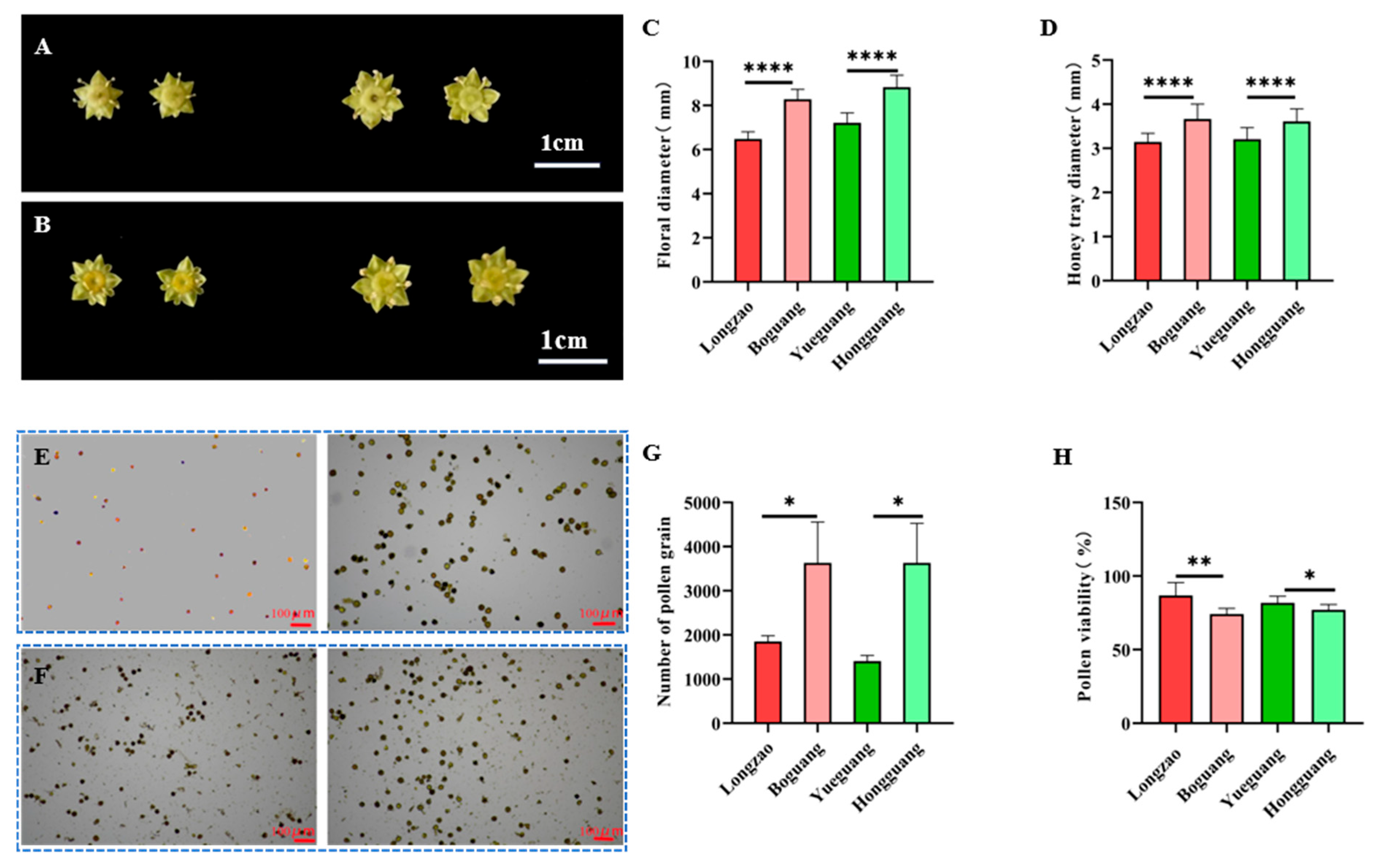 Plants 14 03588 g006