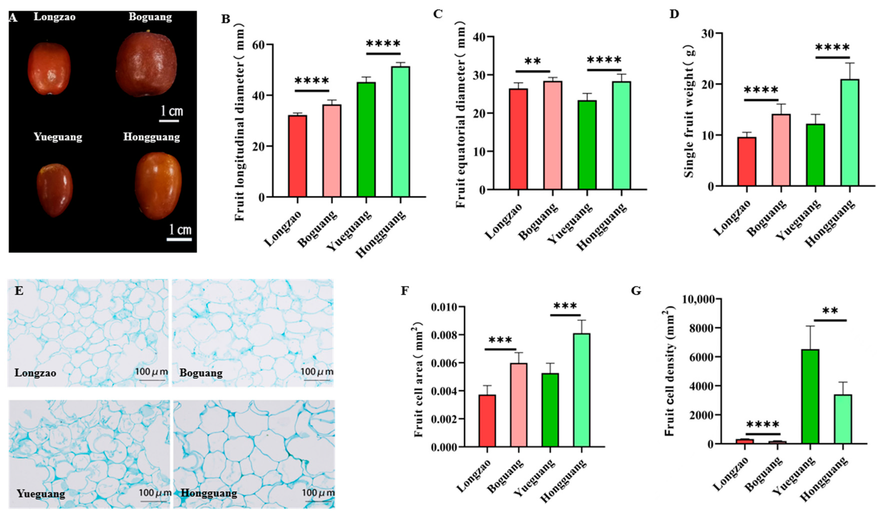 Plants 14 03588 g007