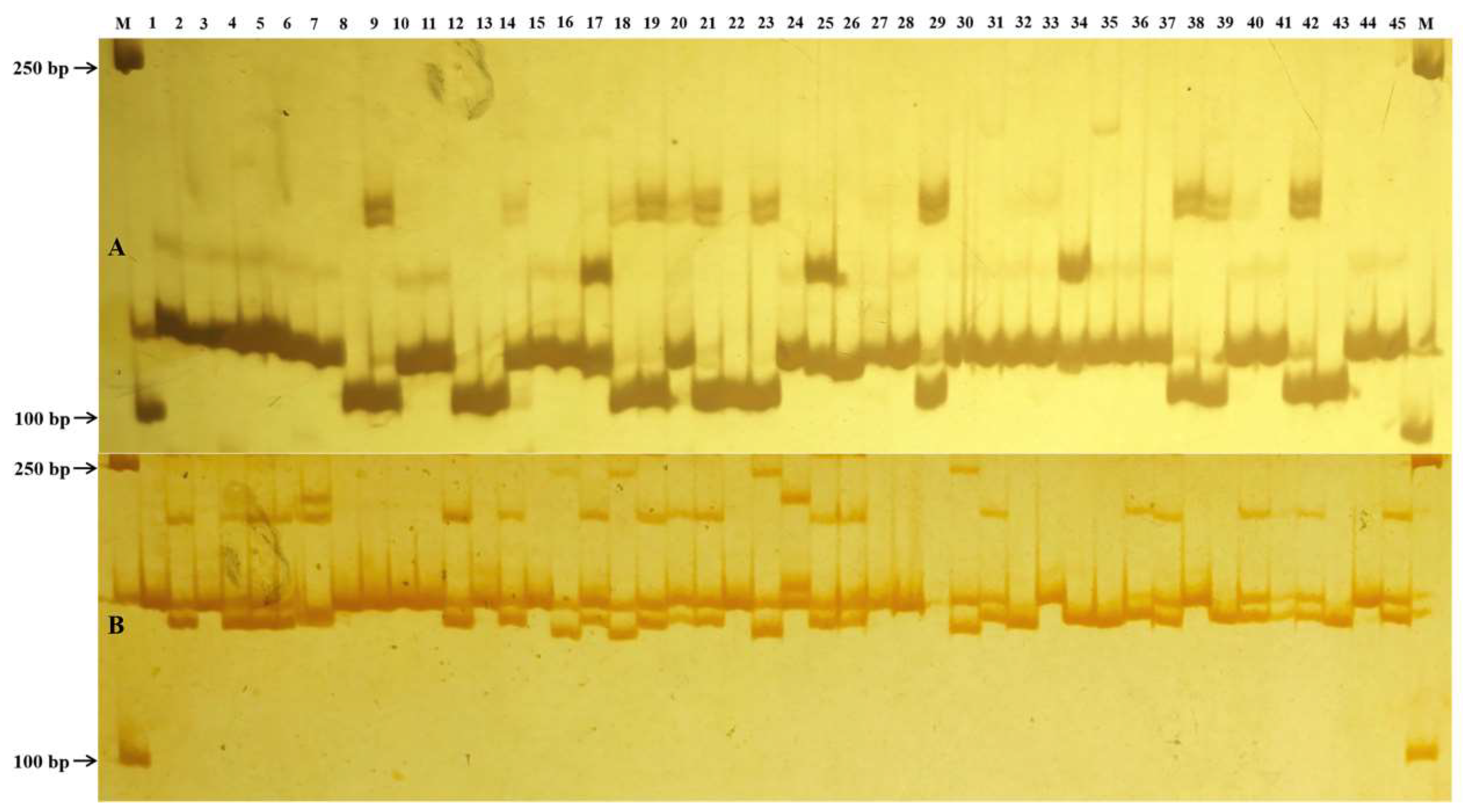 Plants 14 03589 g002