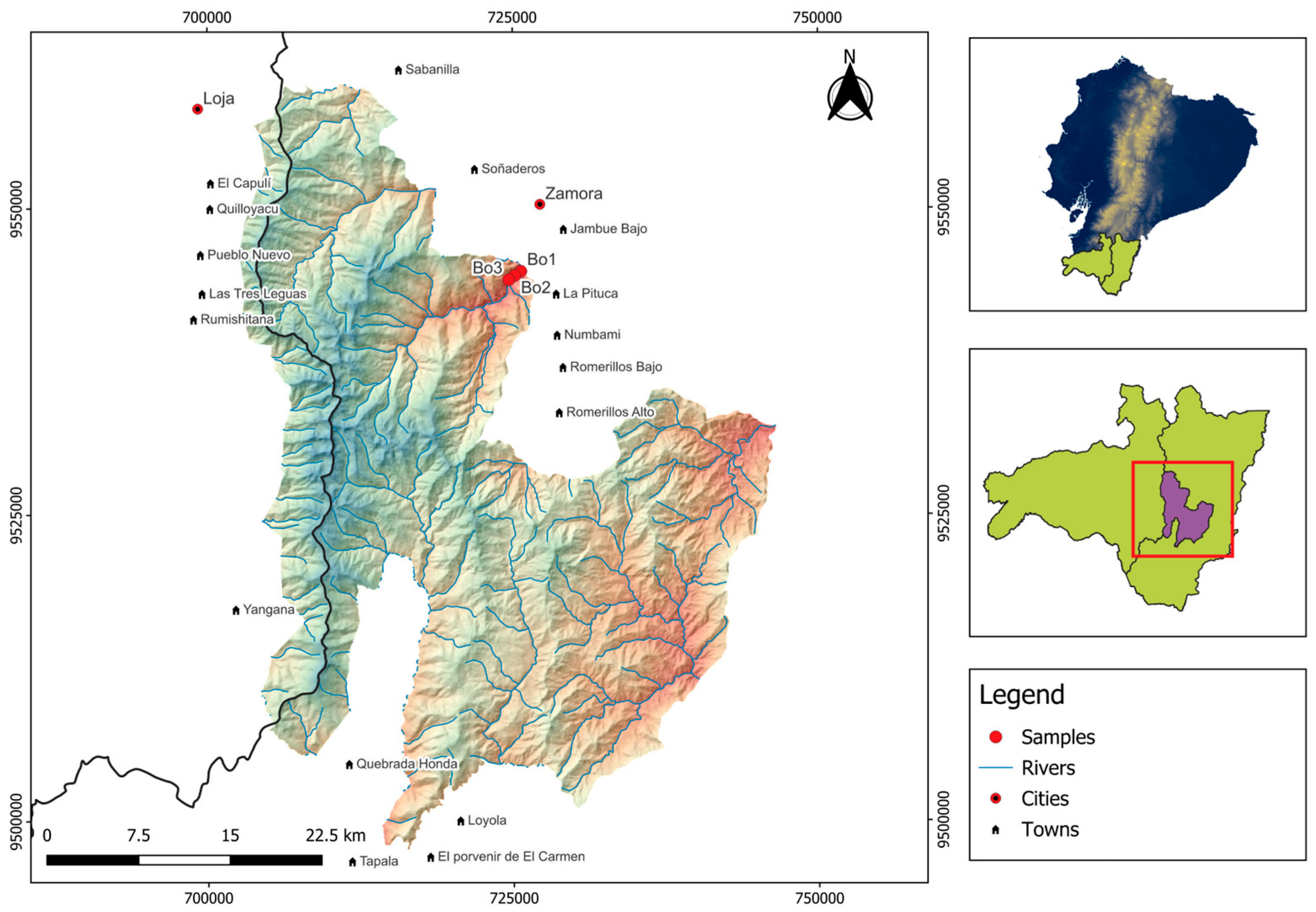 Plants 14 03590 g004