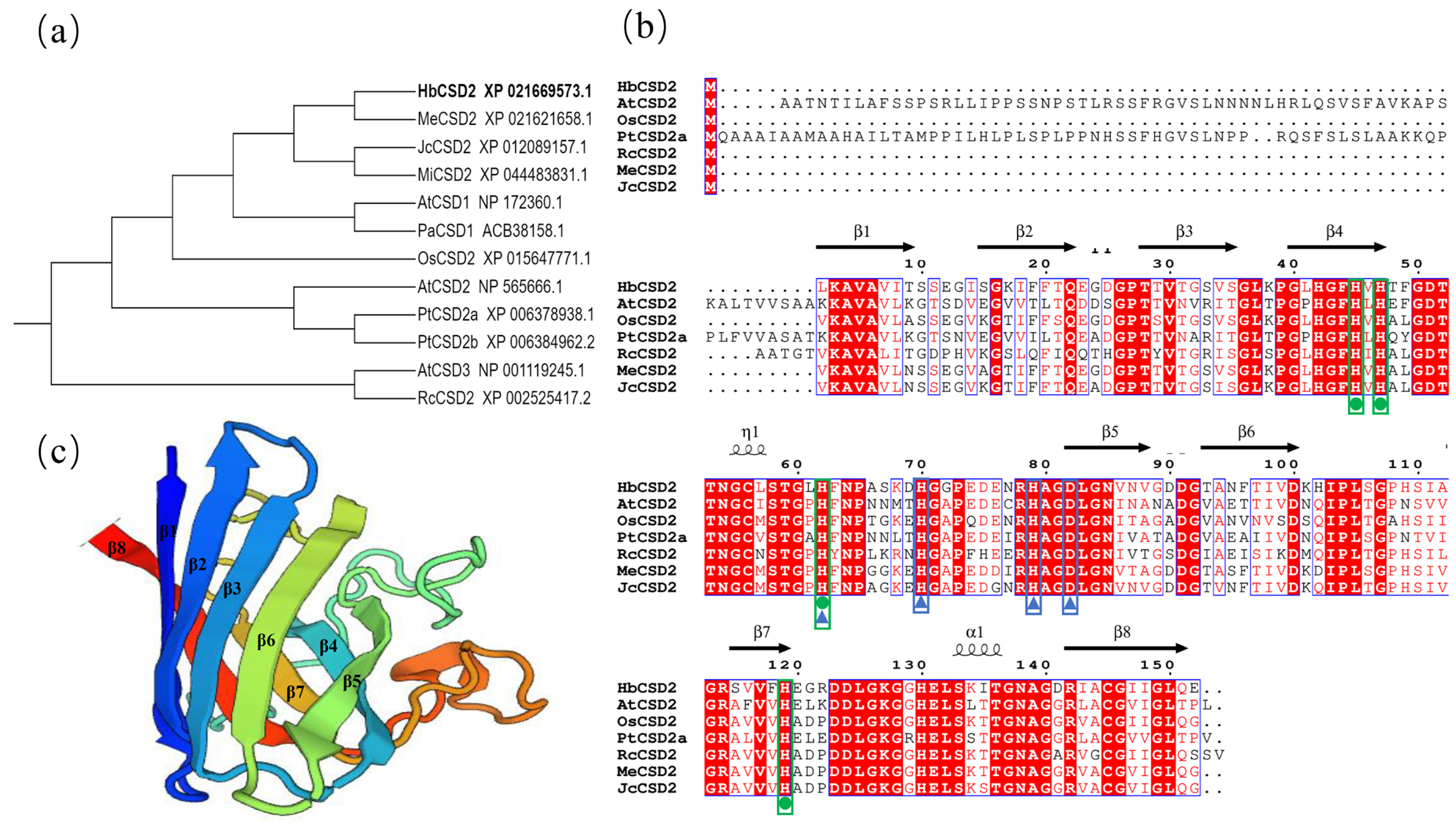 Plants 14 03591 g001 Plants 14 03591 g001